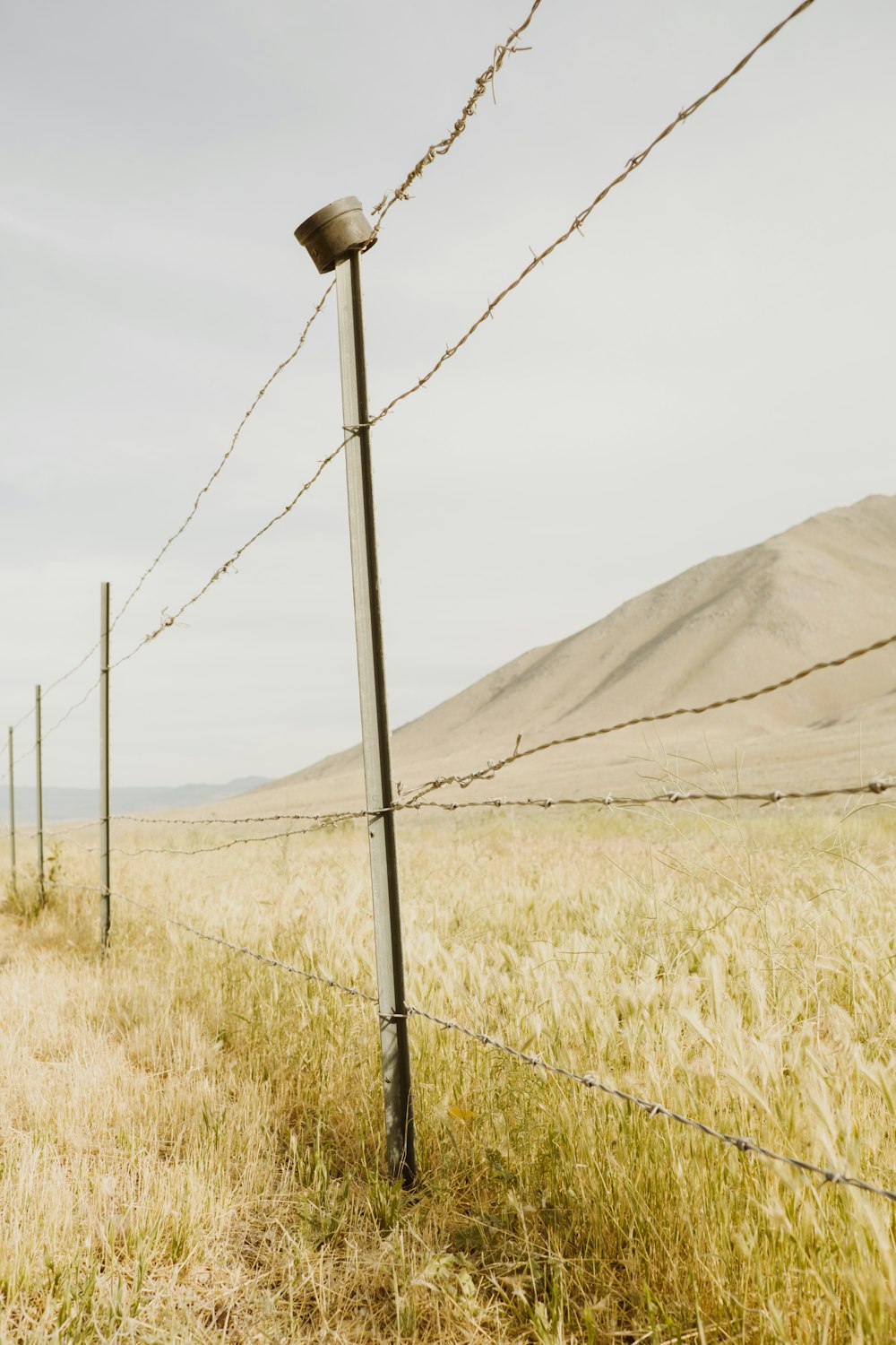 a power line in a field