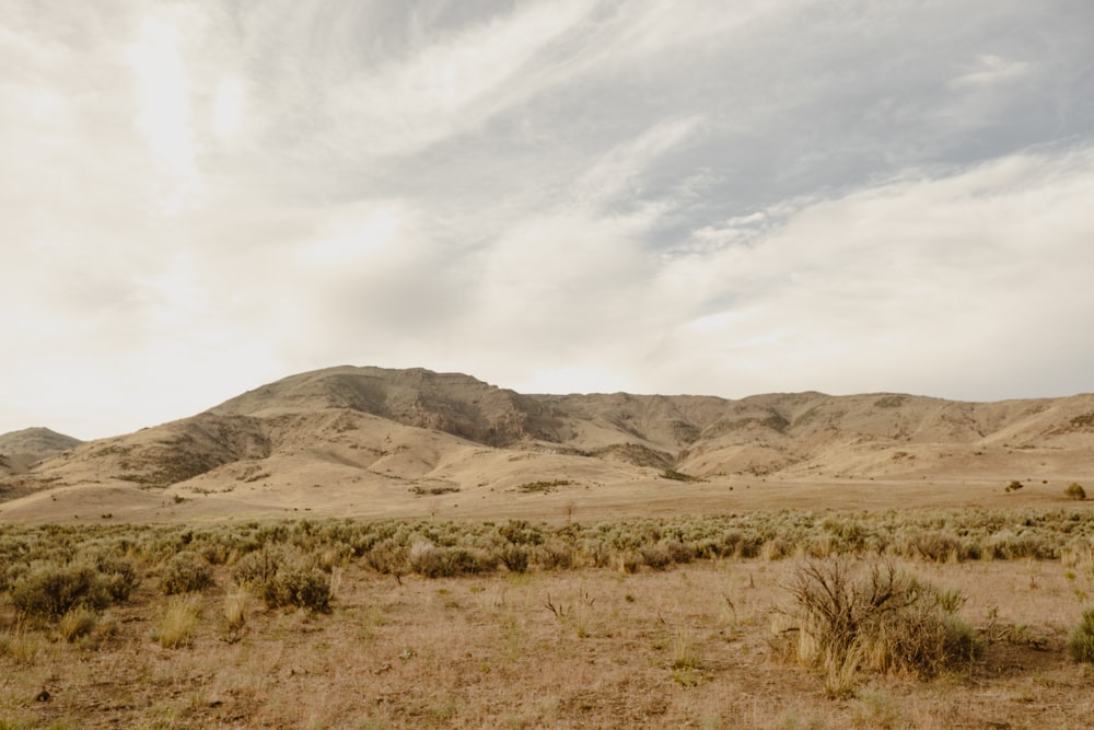 a desert landscape with hills