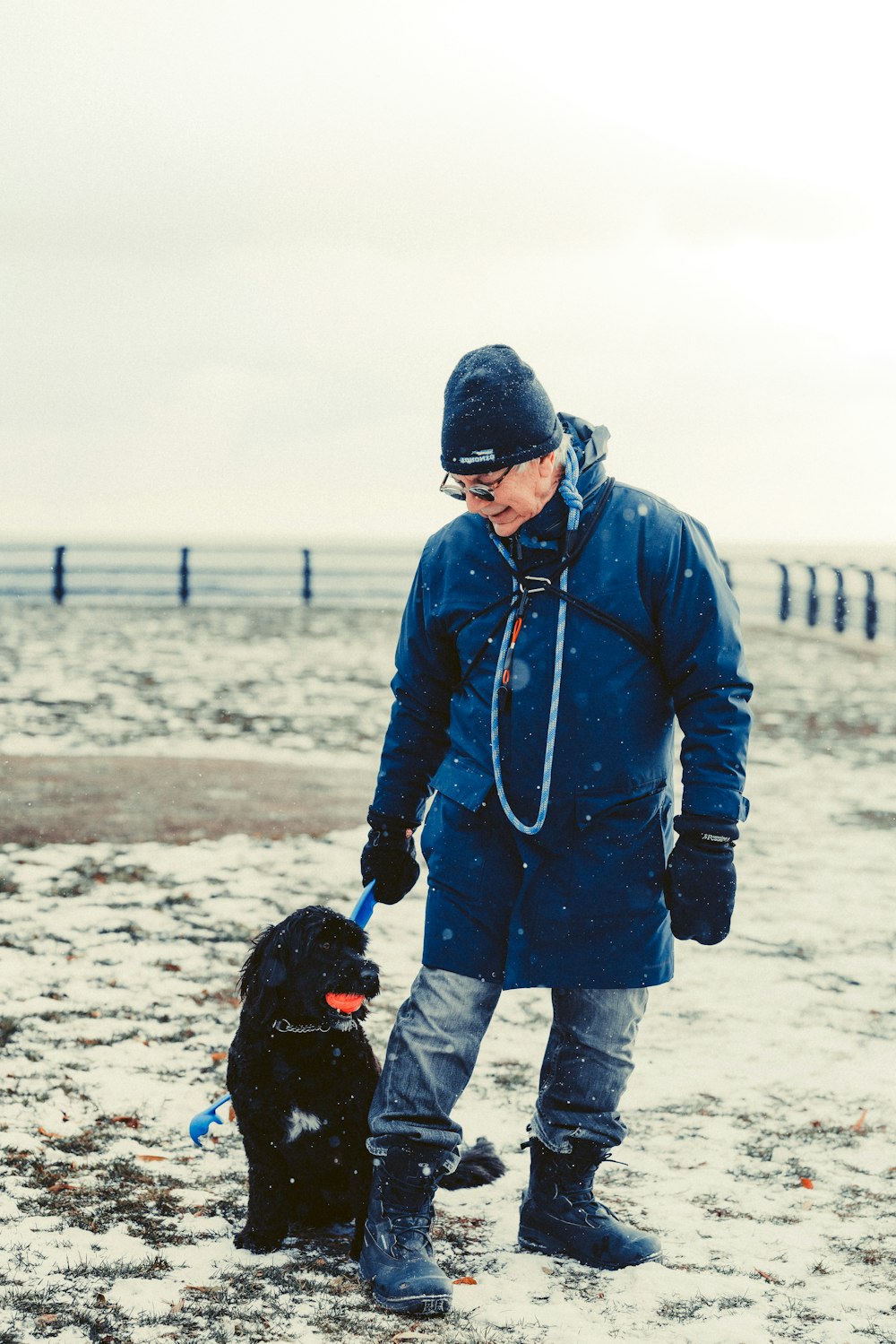 a man holding a dog on a beach