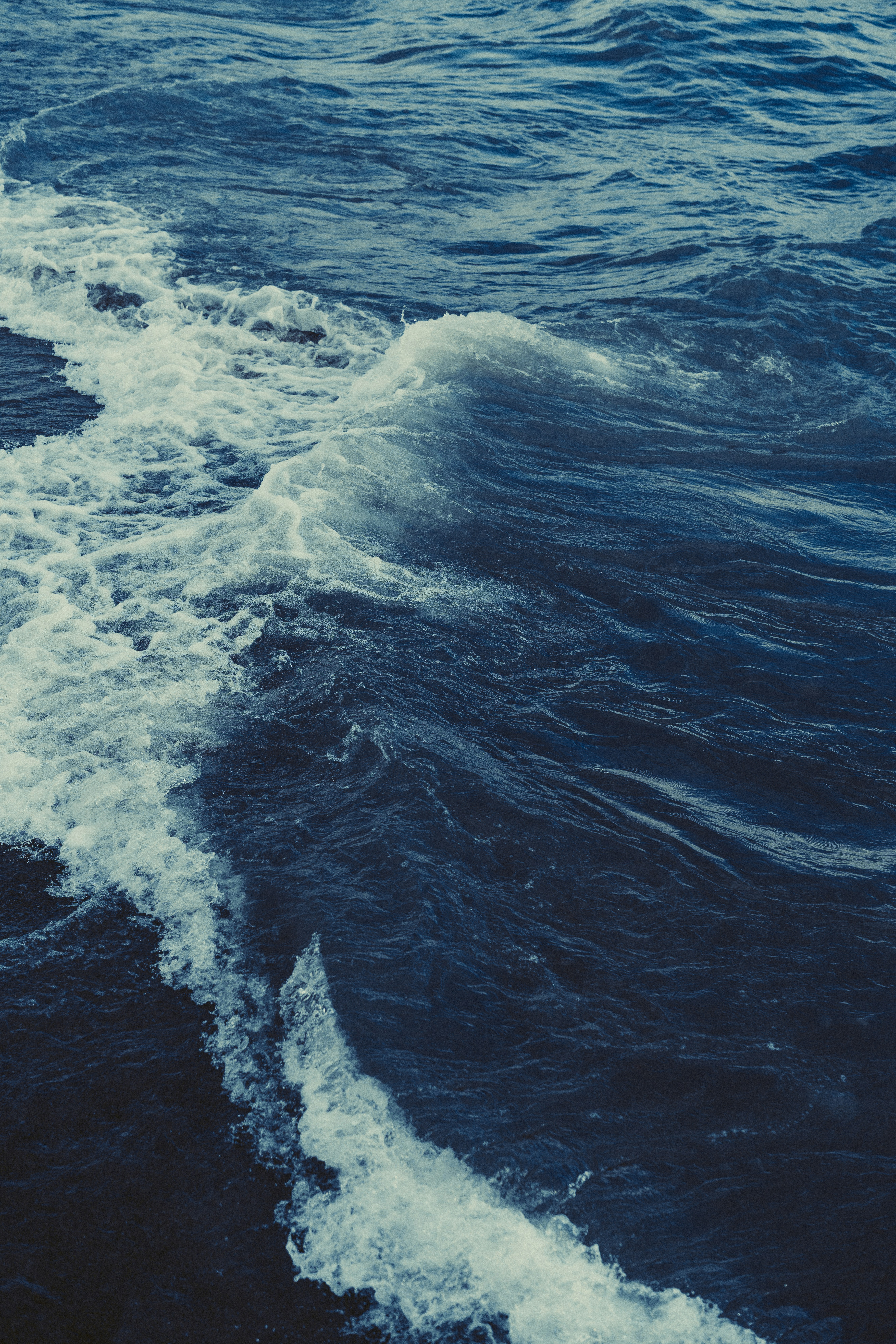 The Silk Road Before Silk: Central Asia's Hidden Trade Networks