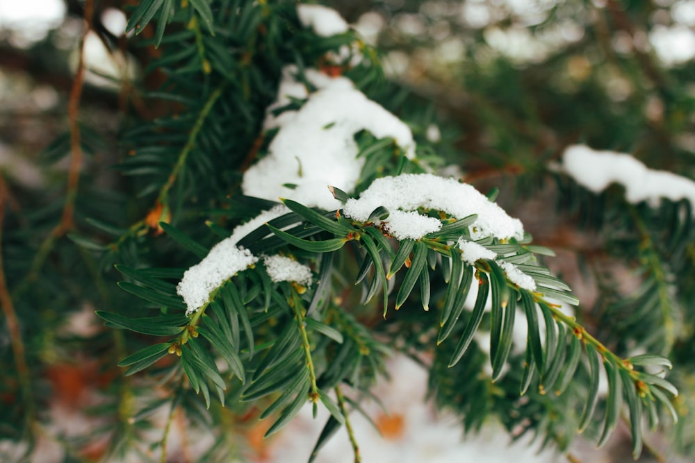 a close up of some snow