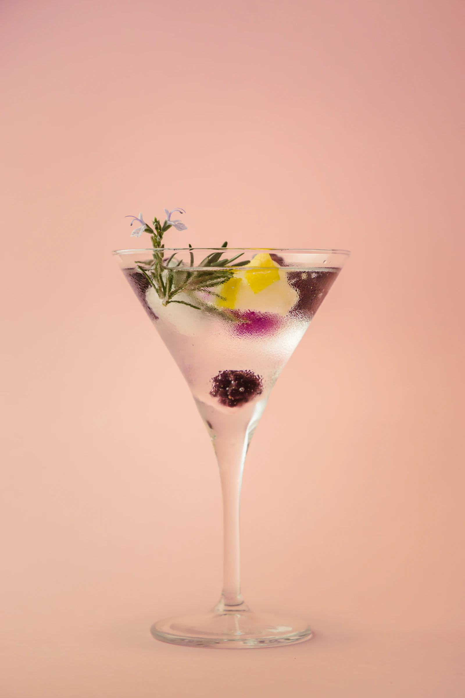 Elegant sparkling botanical drink with fruit and herbs