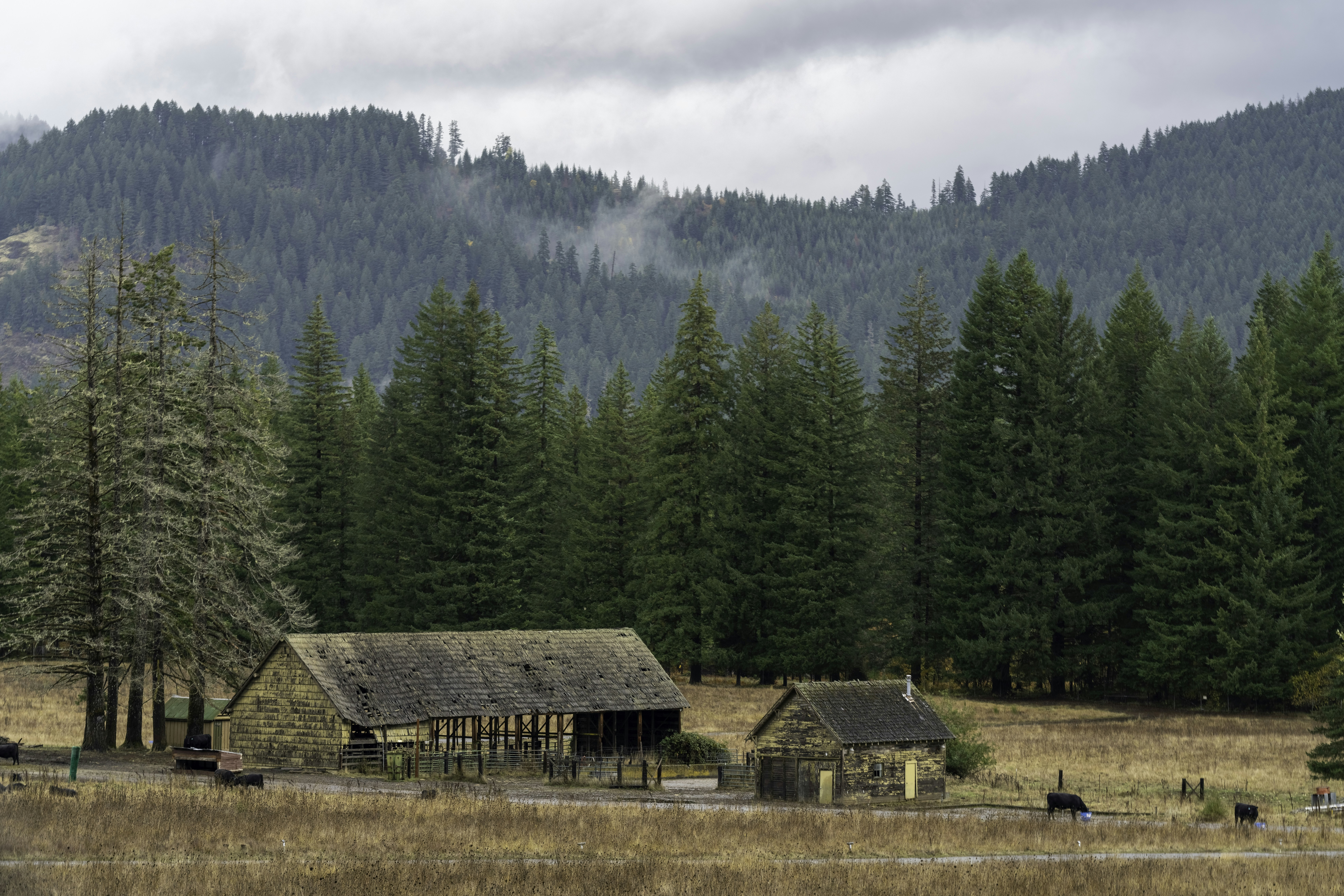 Photo by iandotphotos