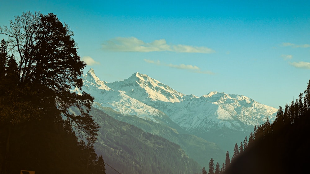 a snowy mountain range