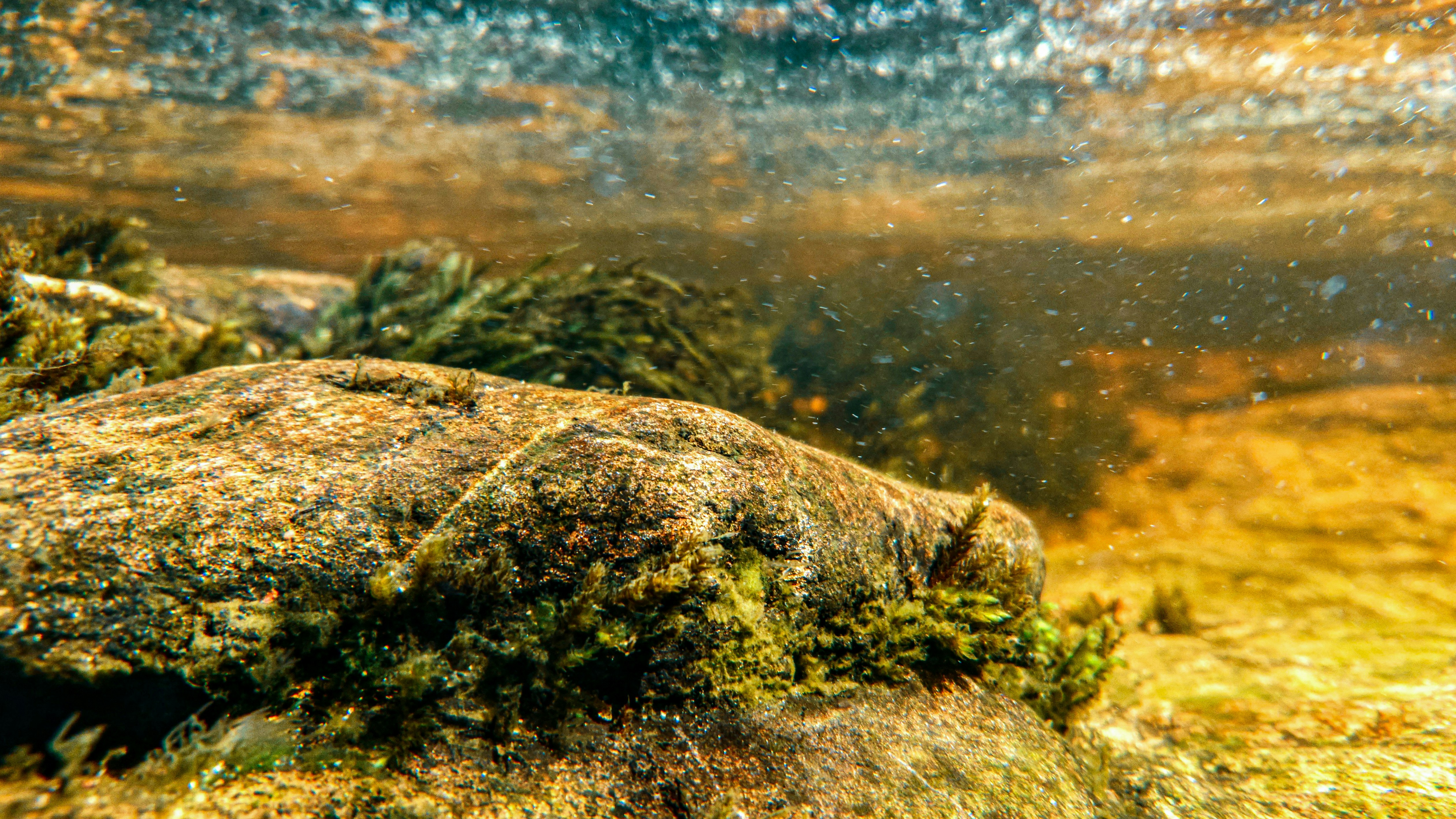 Best Ways to See the Underwater Waterfall