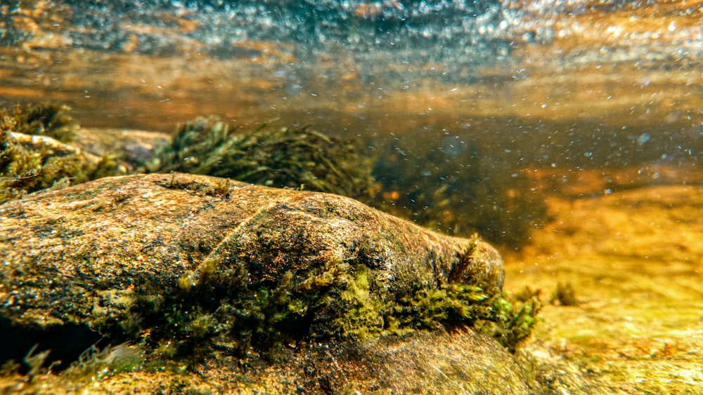 a large rock in the middle of a river