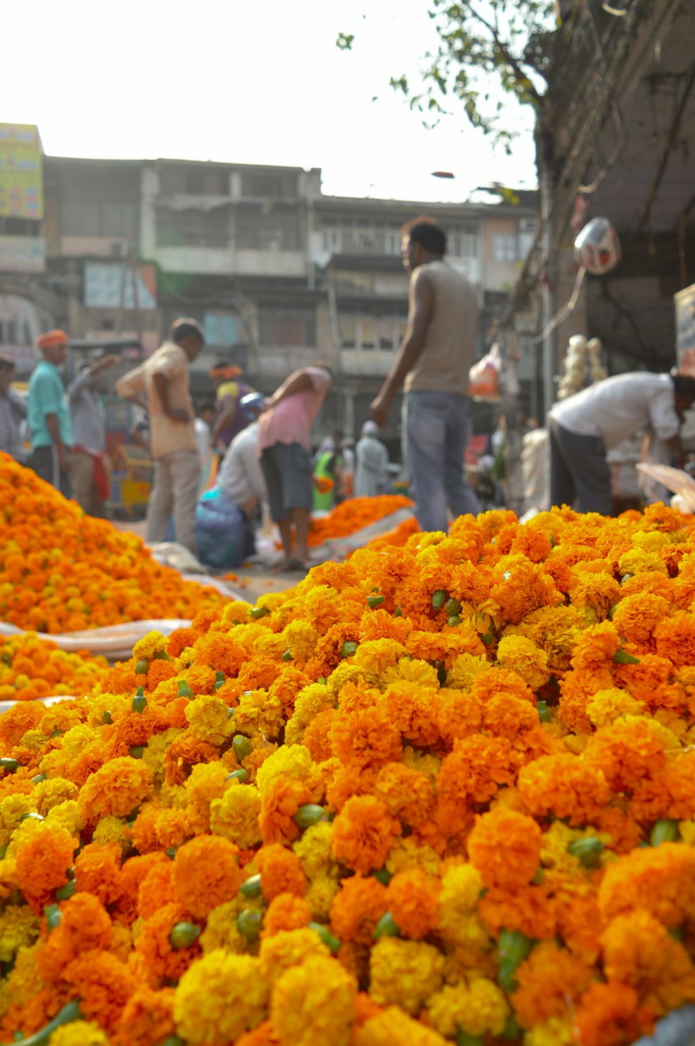 a large group of people stand around a flower stand