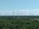 A field of wind turbines stretches across a vast landscape of lush green forest. The sky is clear with a few scattered clouds, and the turbines appear in neat rows, harnessing wind energy.