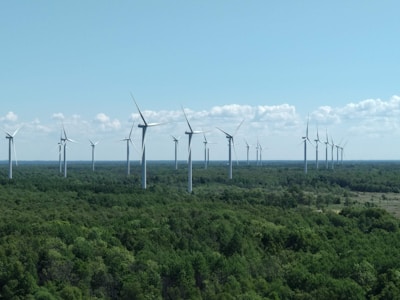 A field of wind turbines stretches across a vast landscape of lush green forest. The sky is clear with a few scattered clouds, and the turbines appear in neat rows, harnessing wind energy.