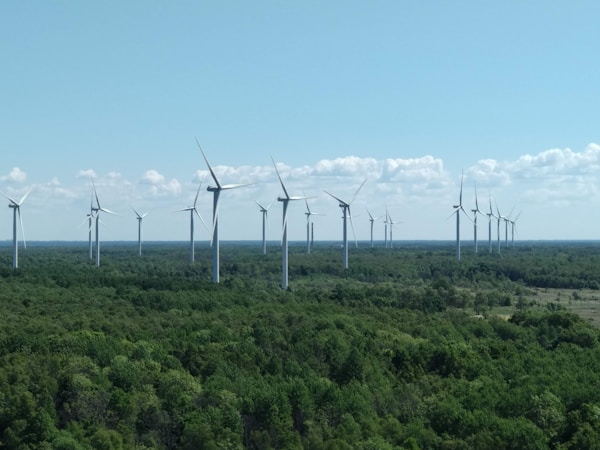 A field of wind turbines stretches across a vast landscape of lush green forest. The sky is clear with a few scattered clouds, and the turbines appear in neat rows, harnessing wind energy.