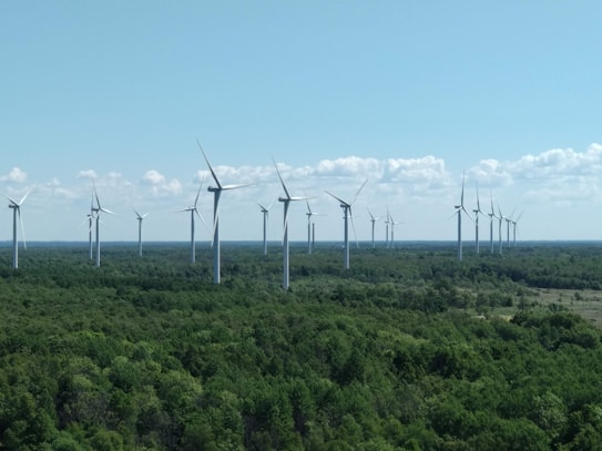 A field of wind turbines stretches across a vast landscape of lush green forest. The sky is clear with a few scattered clouds, and the turbines appear in neat rows, harnessing wind energy.