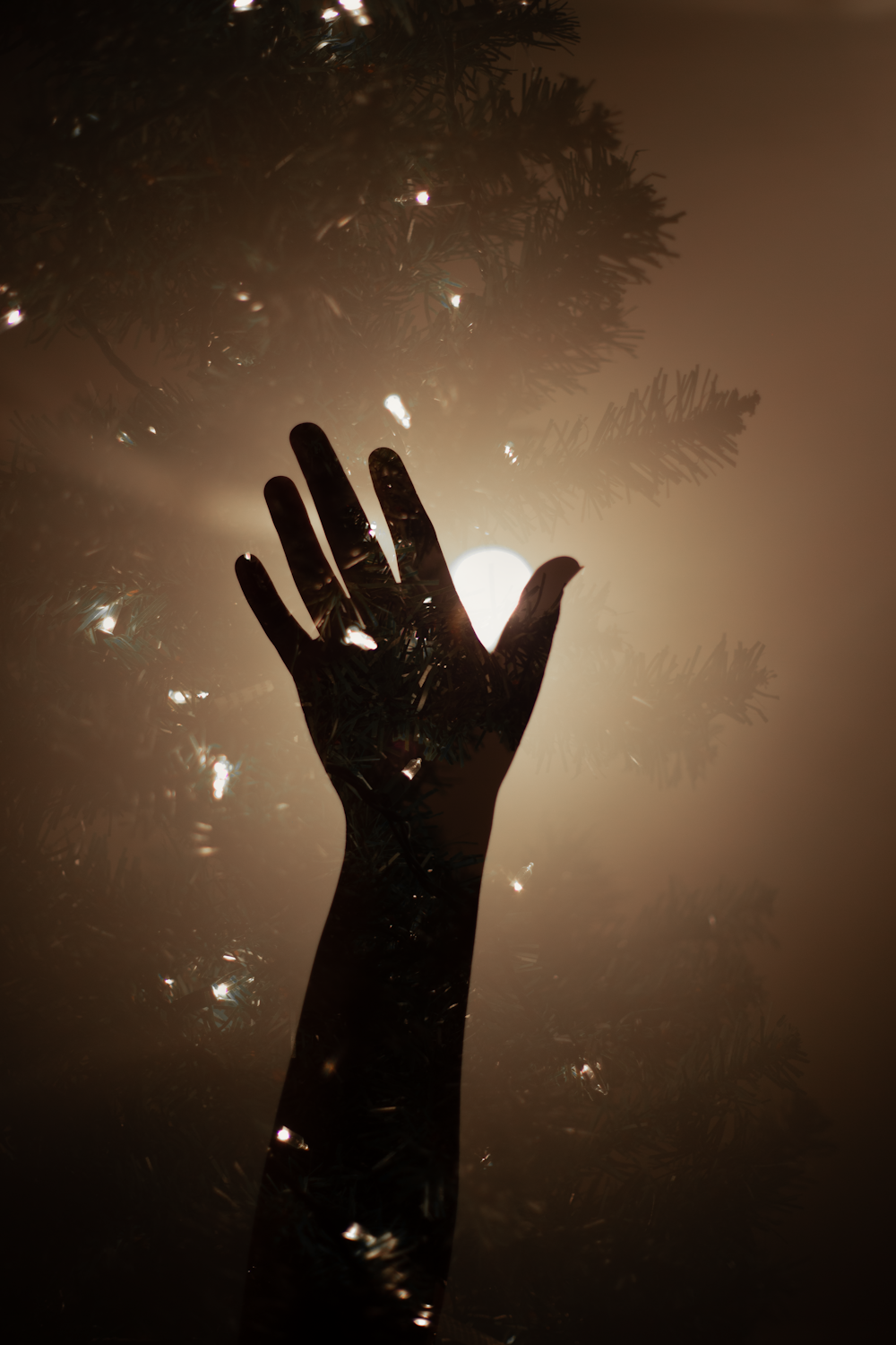 a hand with a palm in front of a firework in the sky