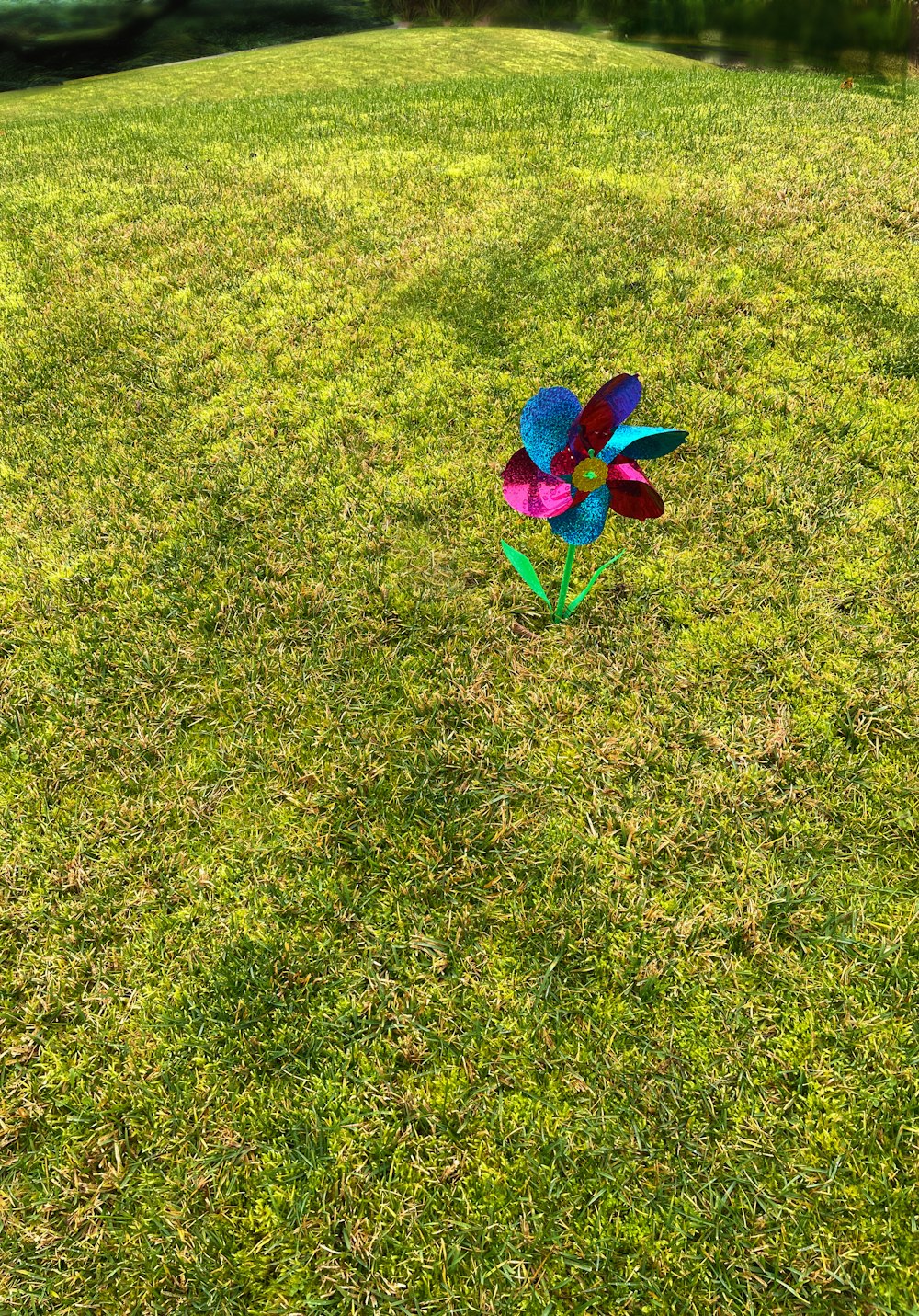 Una girandola colorata in un campo erboso