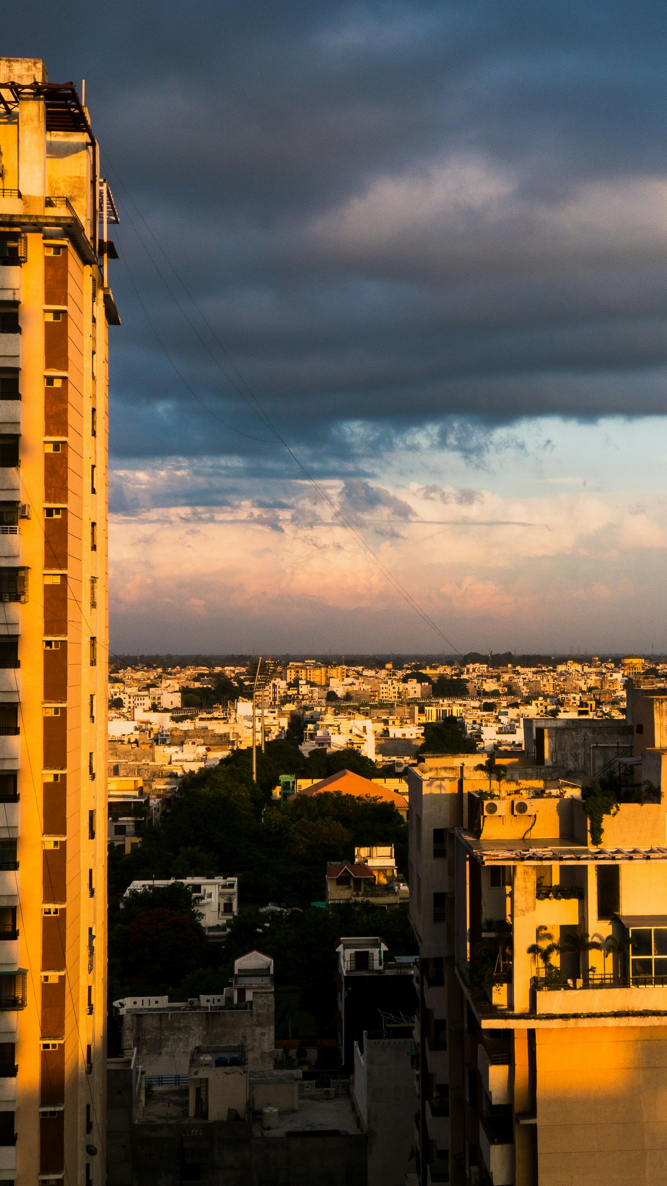 Photo by amritanshdubey