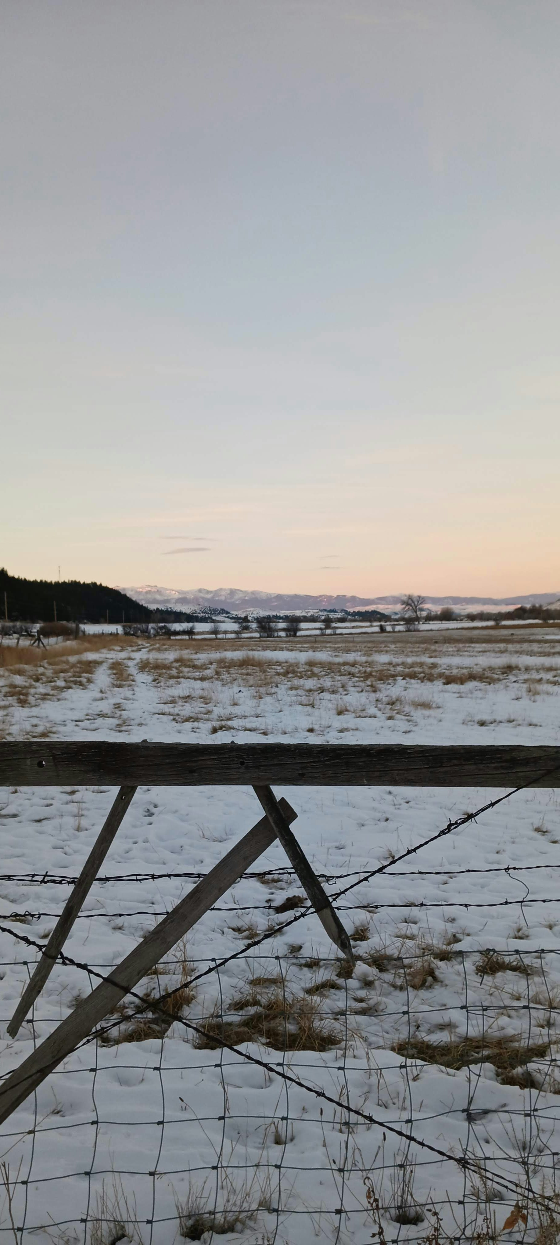 Photo by live_a_little08