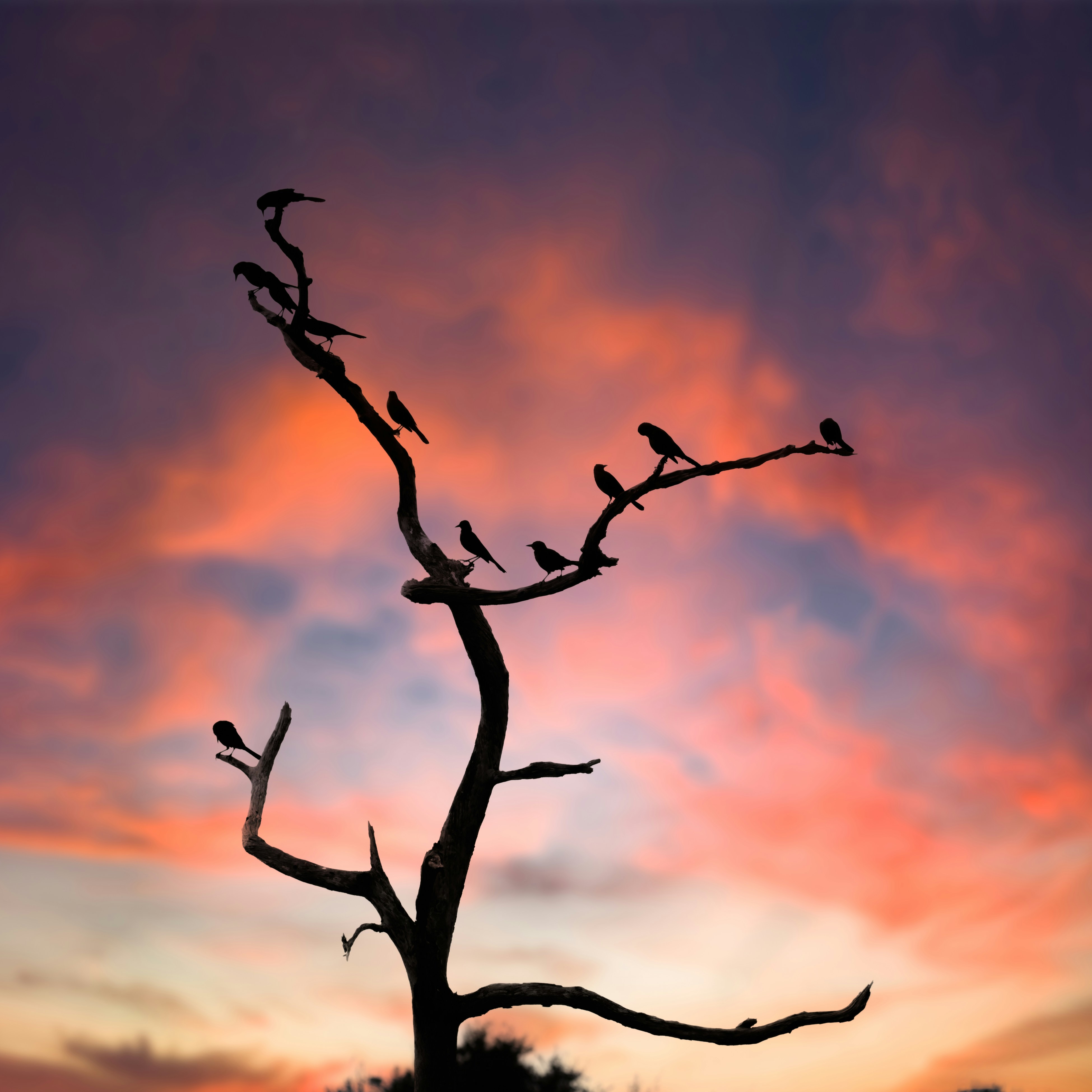 Photo by sagredophotography