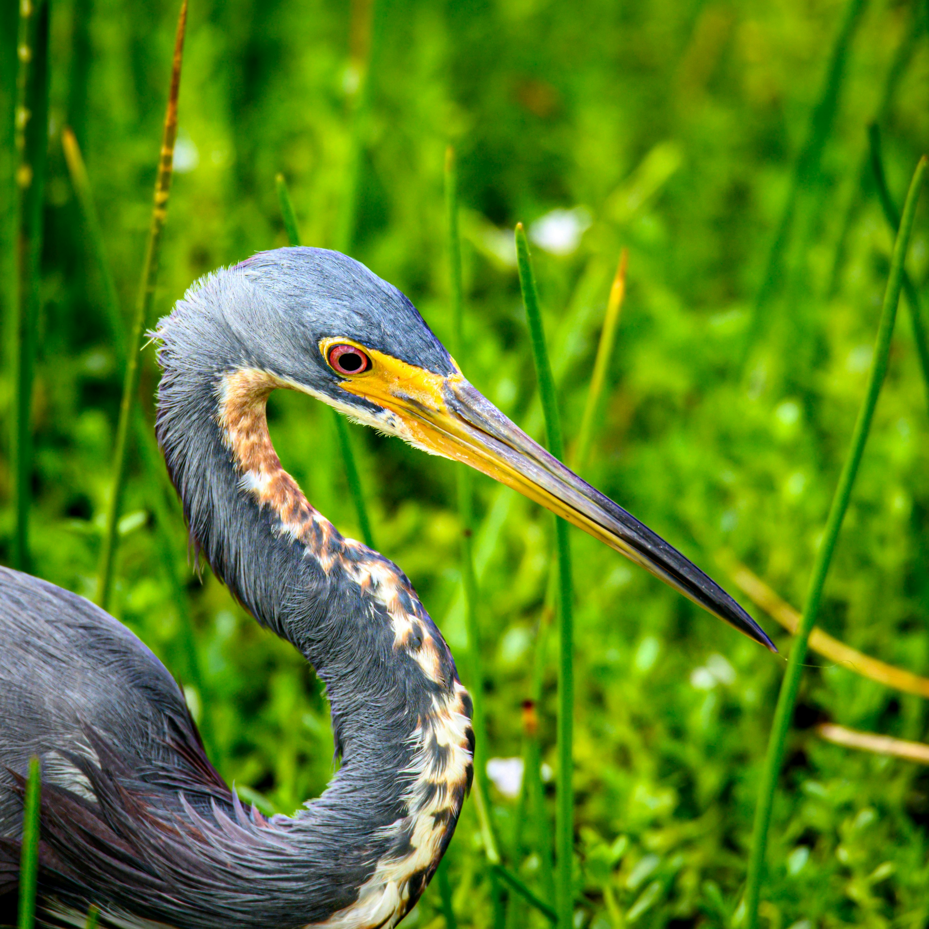 Photo by sagredophotography