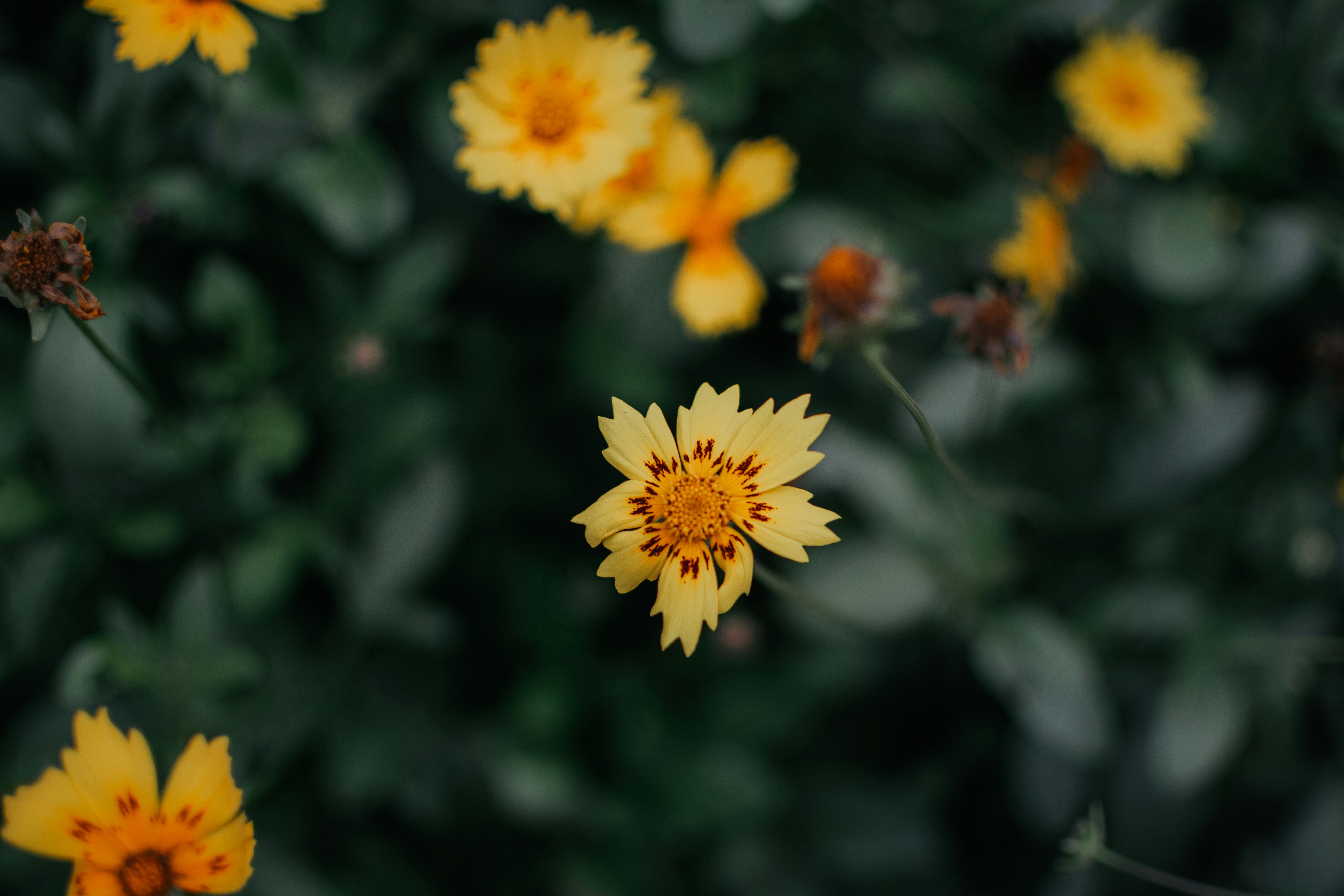 Photo by pramodtiwari