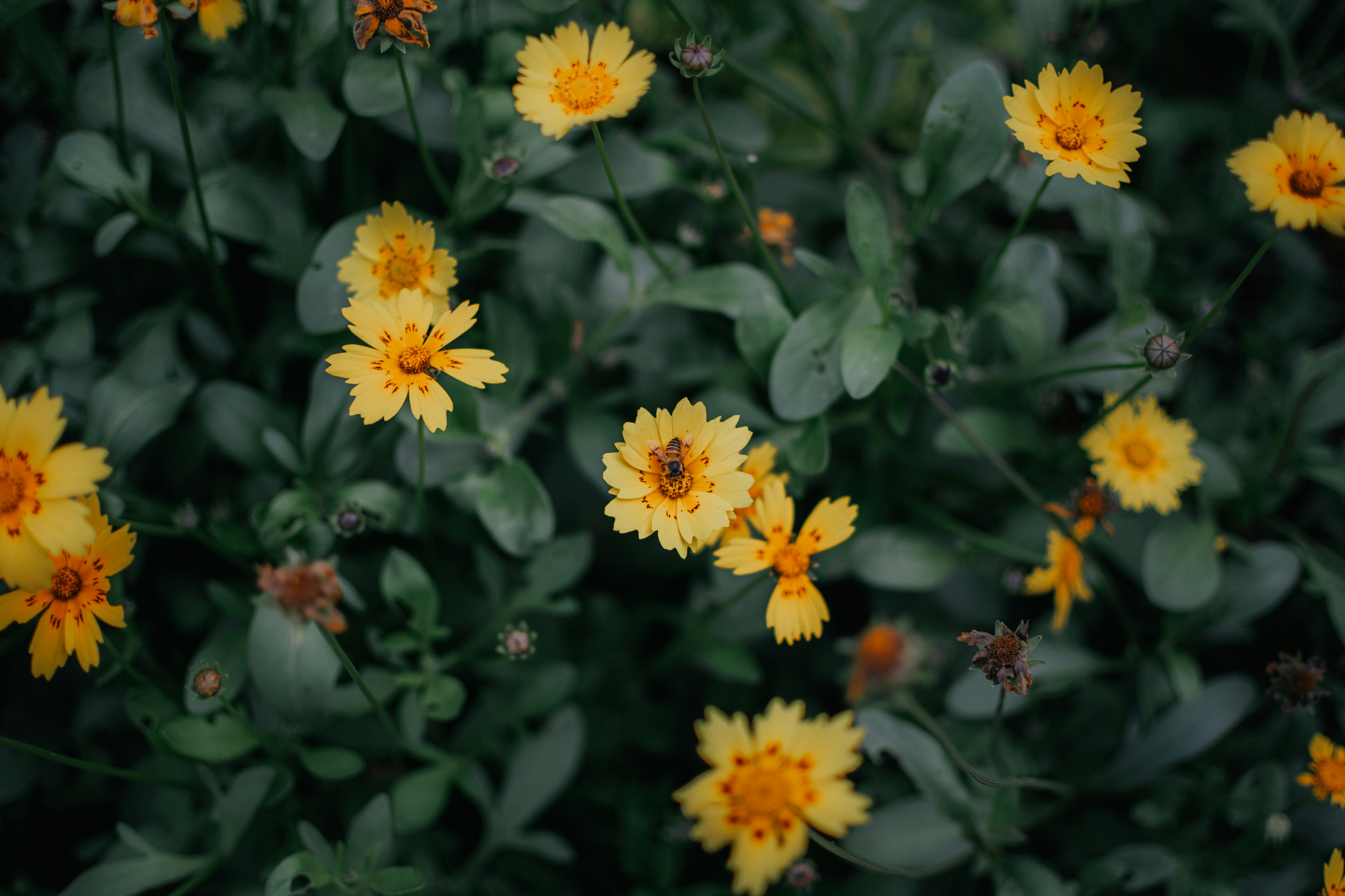 Photo by pramodtiwari