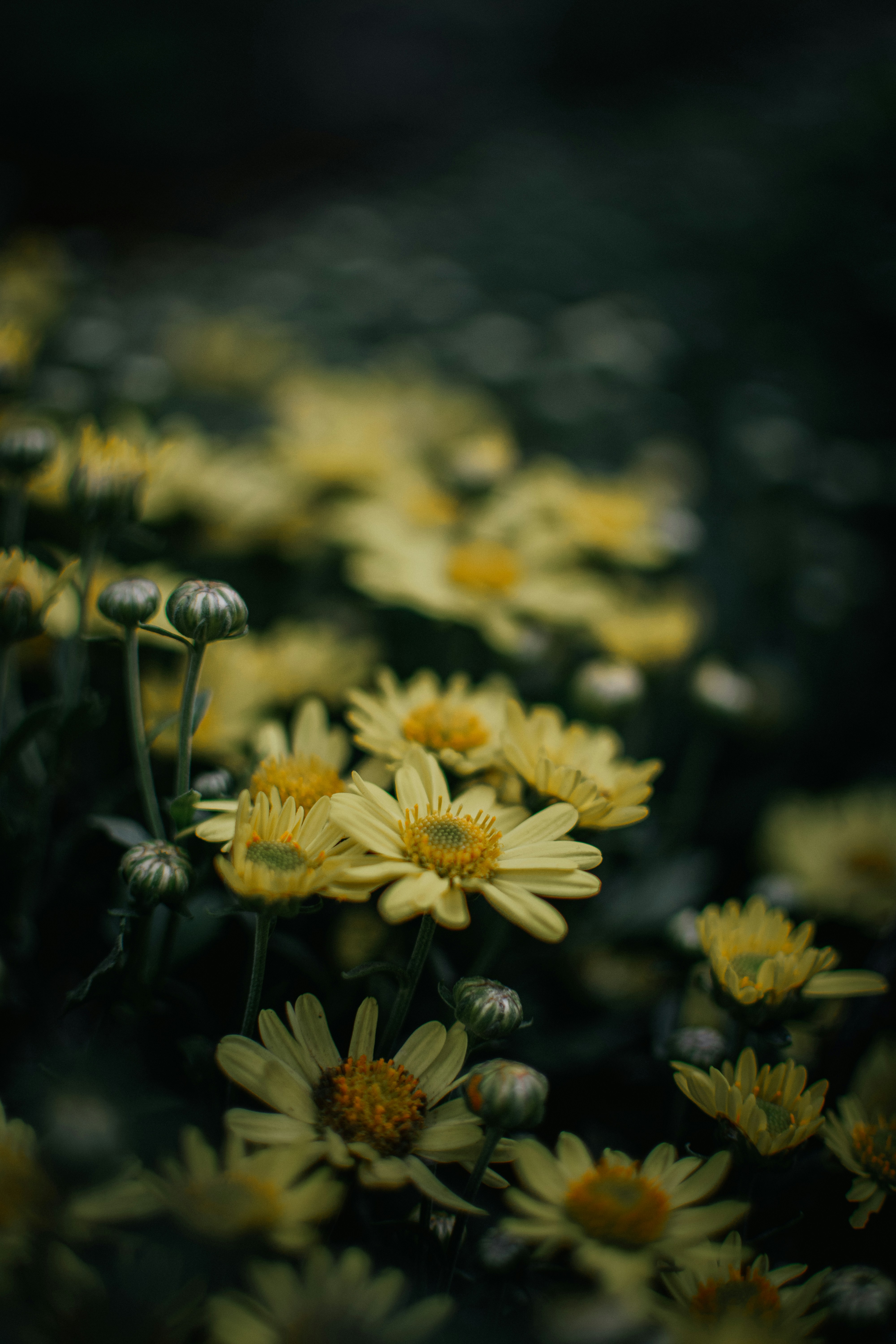 Photo by pramodtiwari