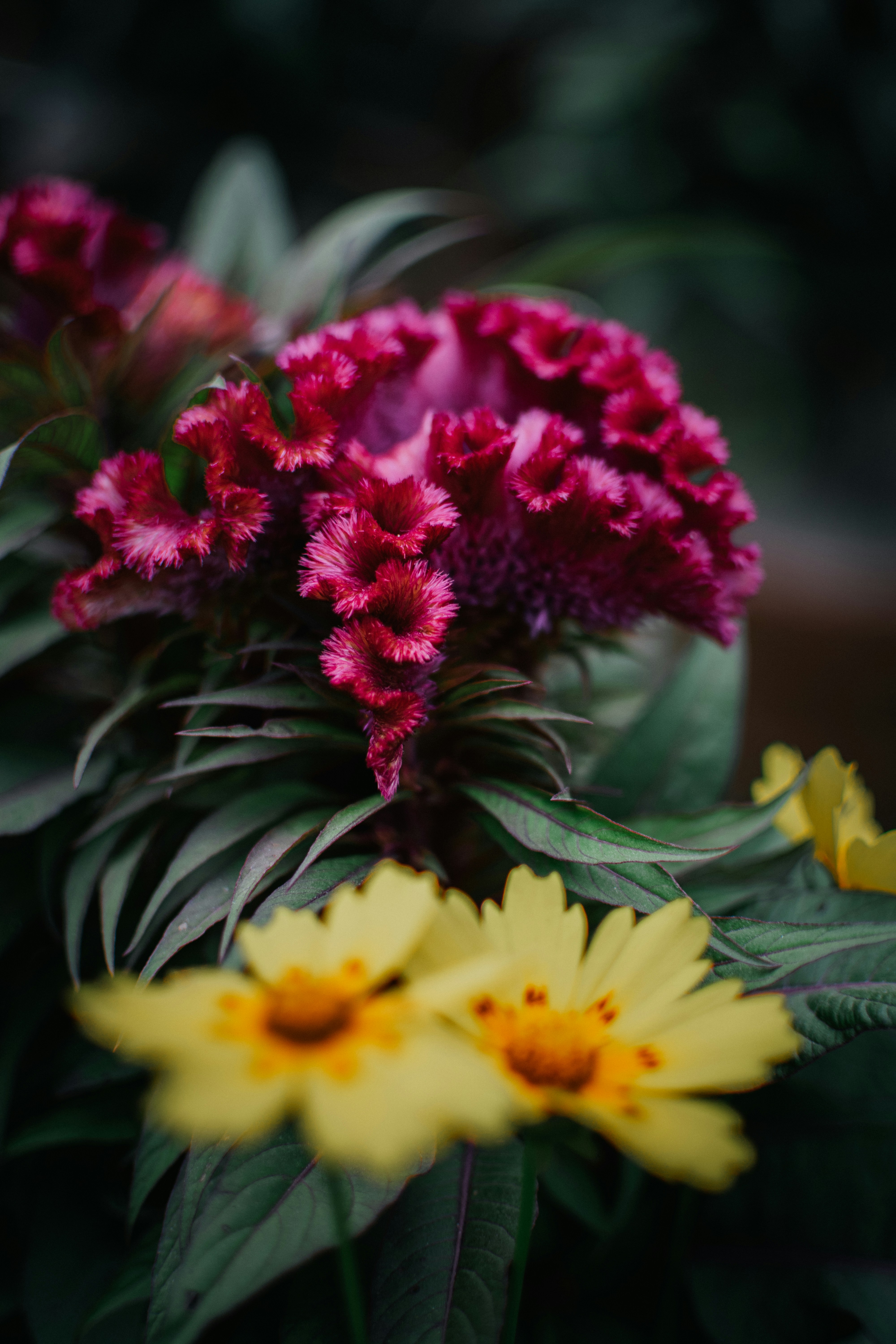 Photo by pramodtiwari