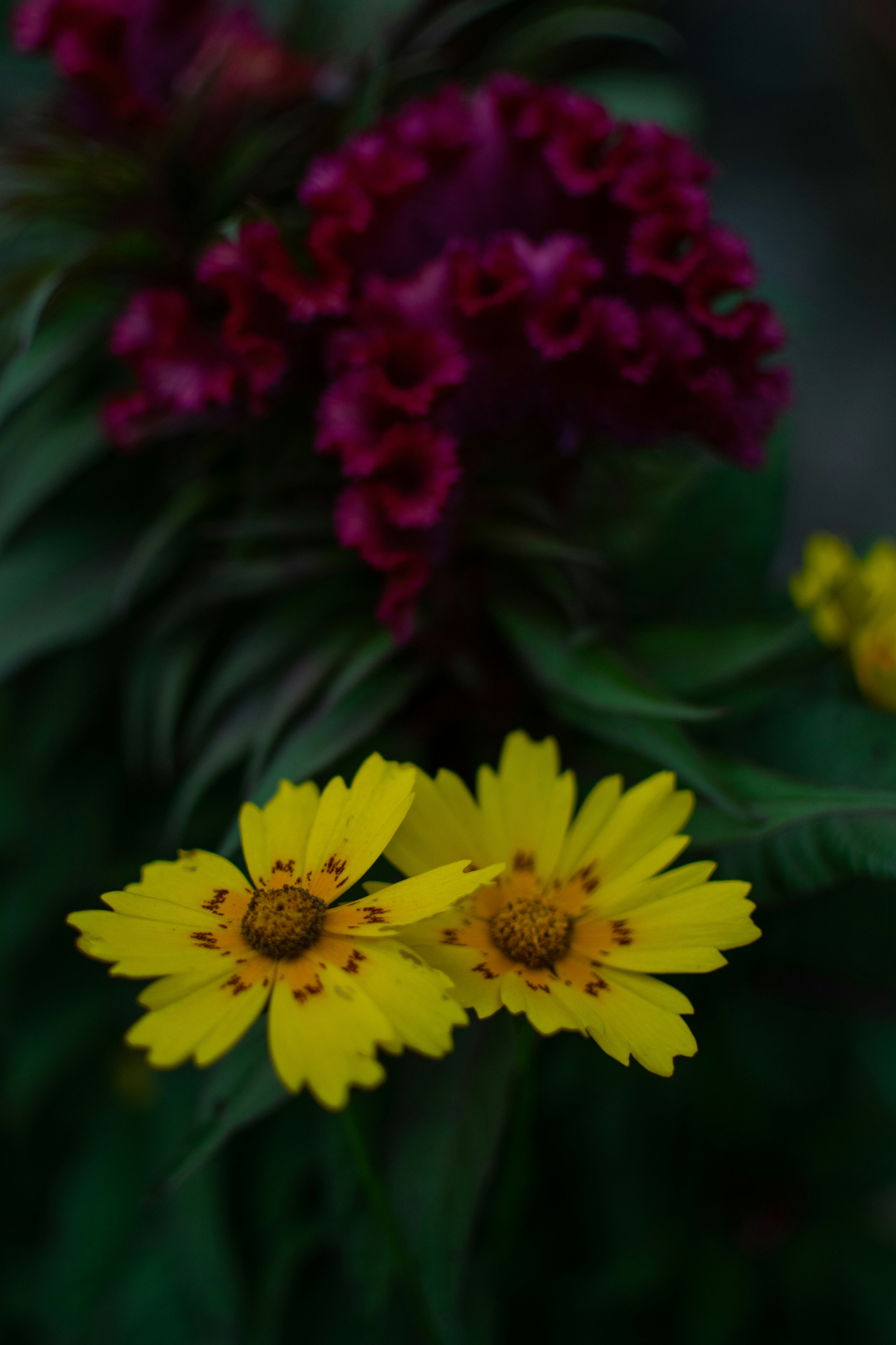 Photo by pramodtiwari