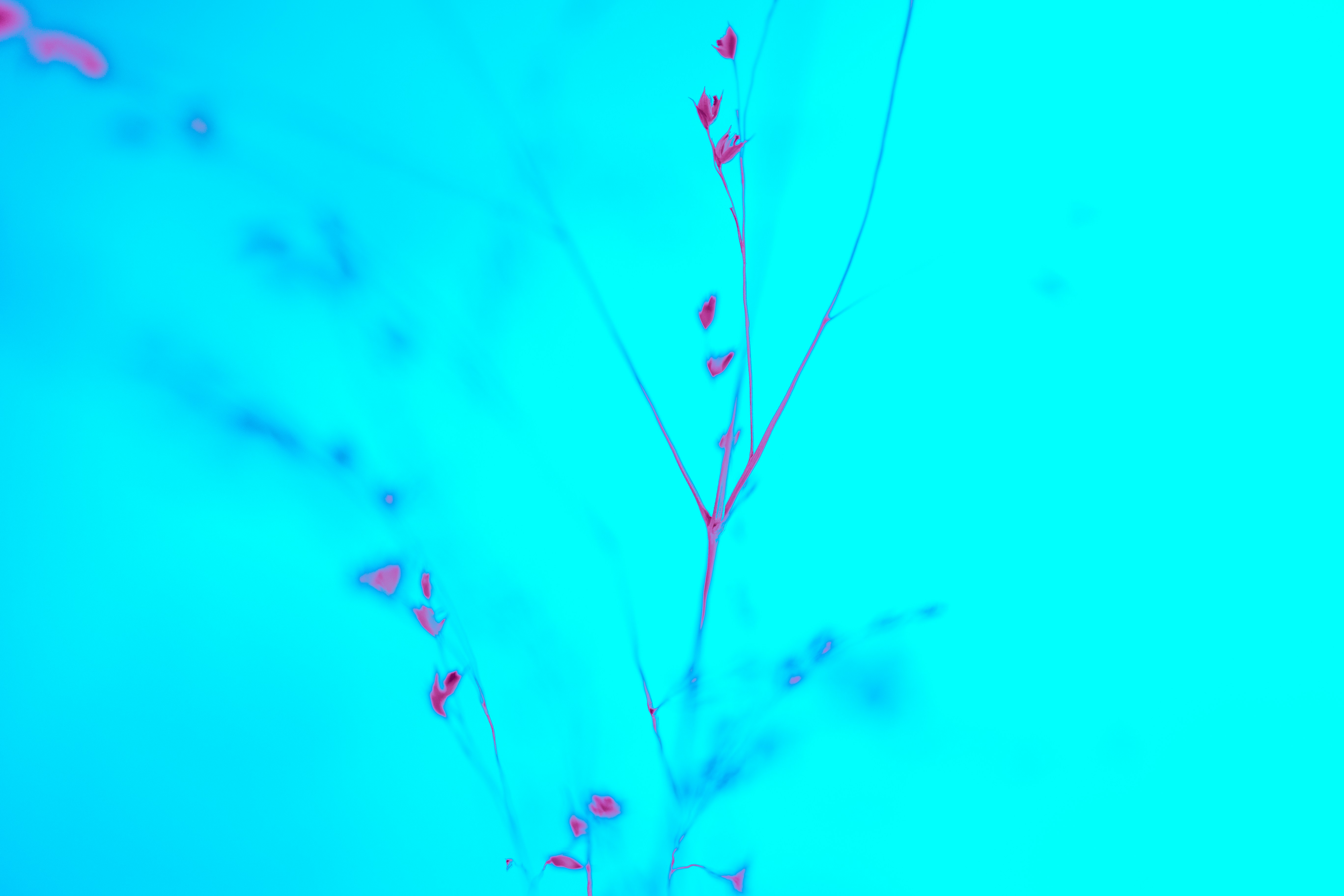 Photo by marekpiwnicki