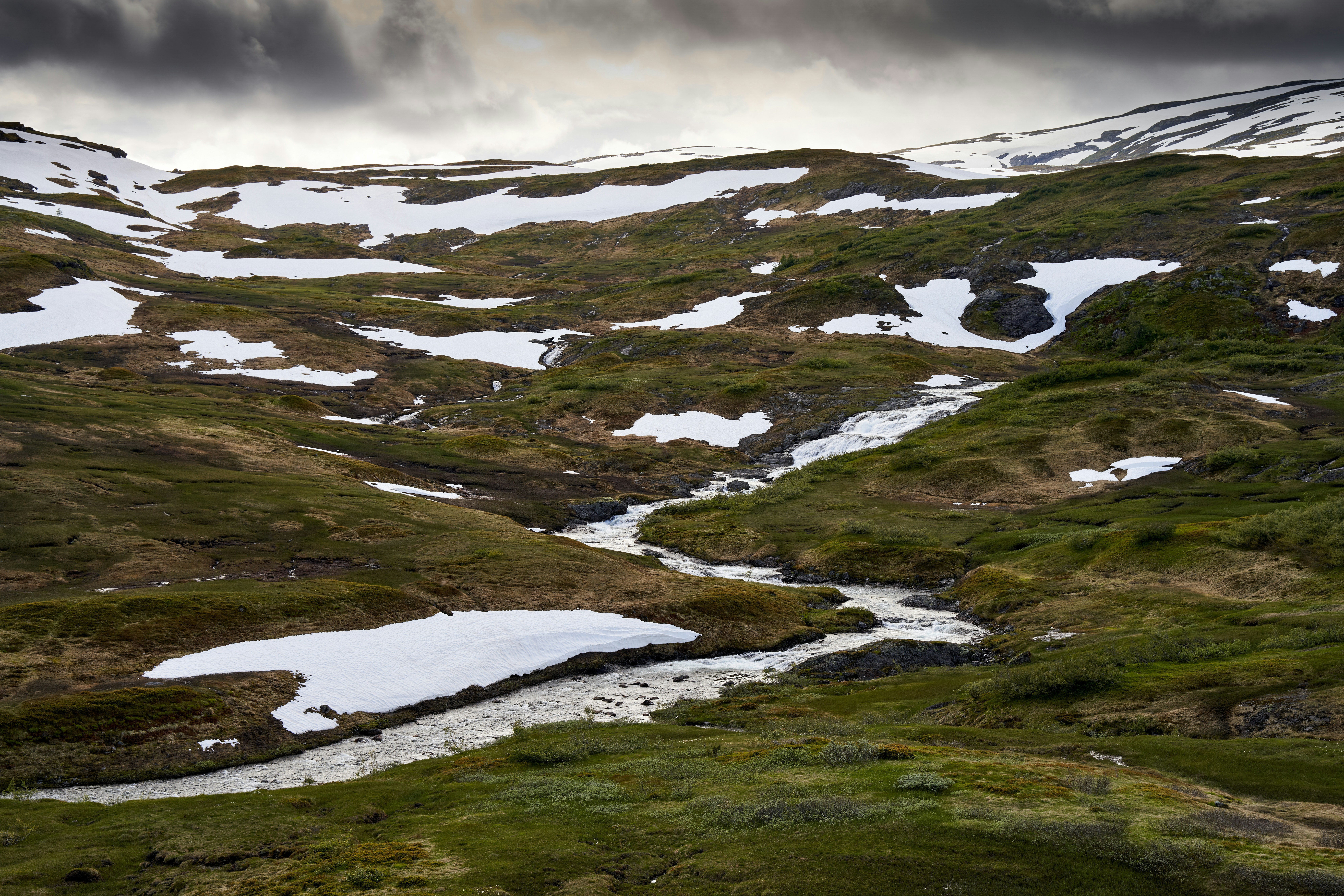 Photo by davotibarna