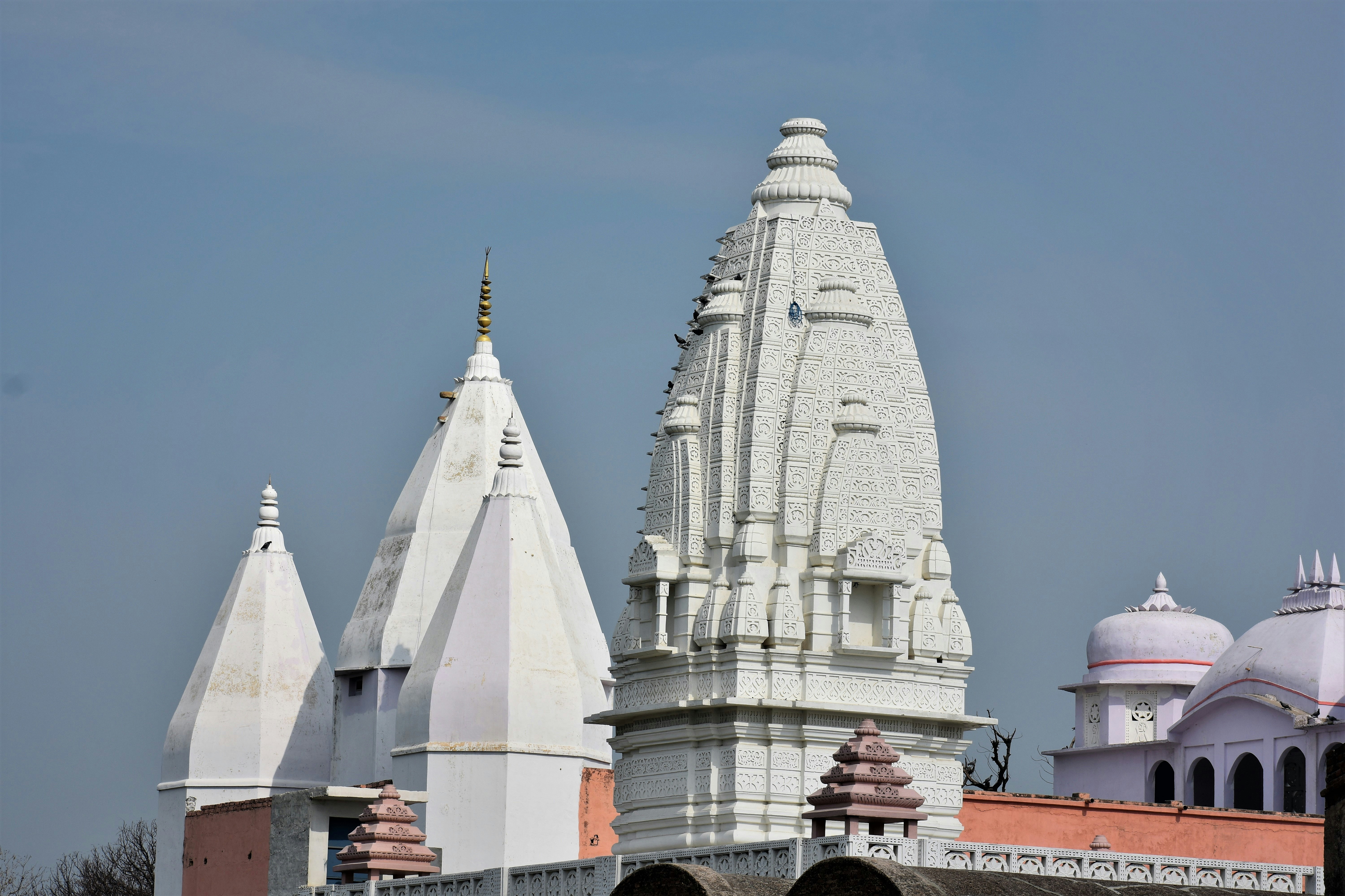 Photo by manu_manav_j