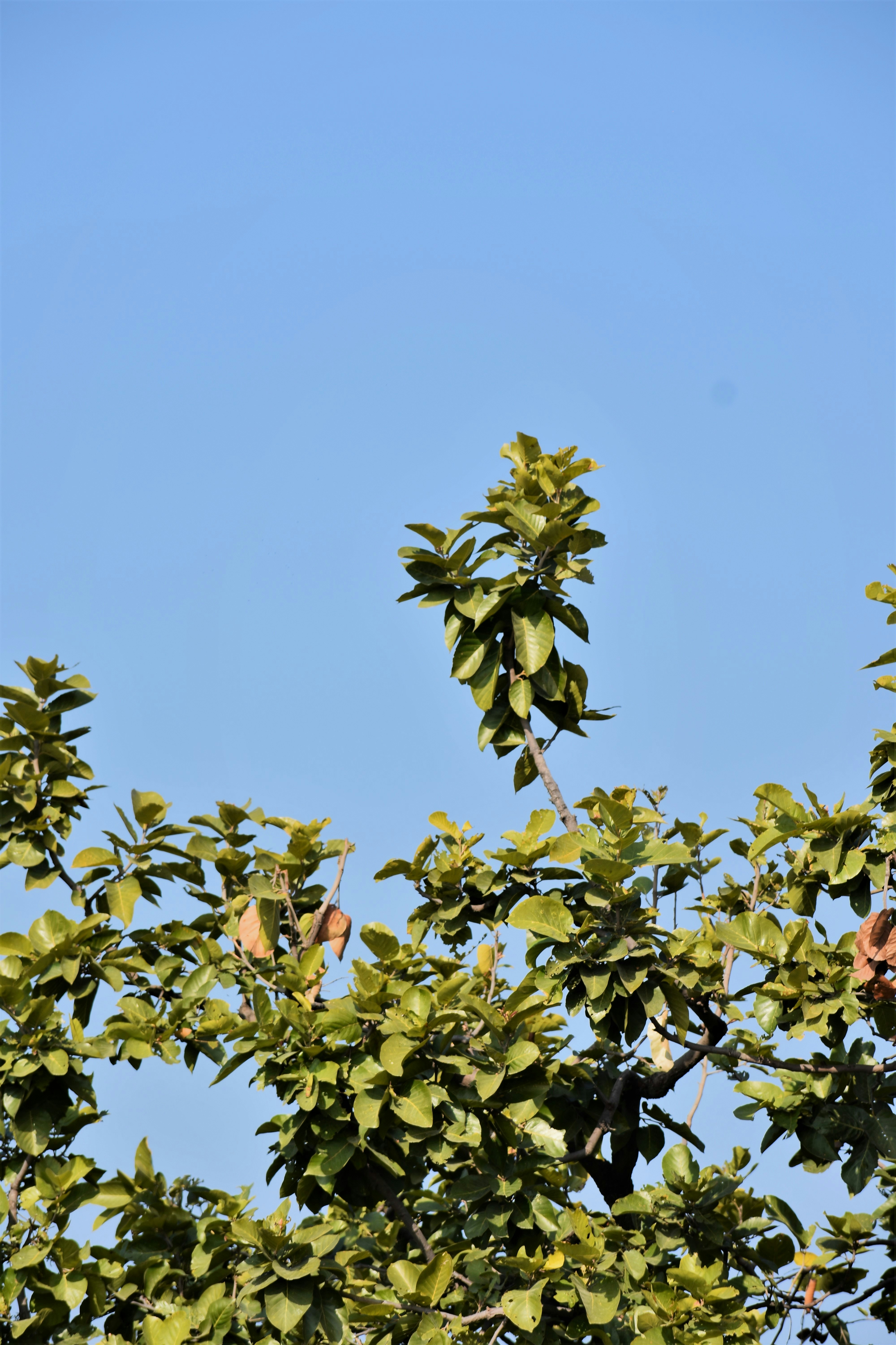 Photo by manu_manav_j