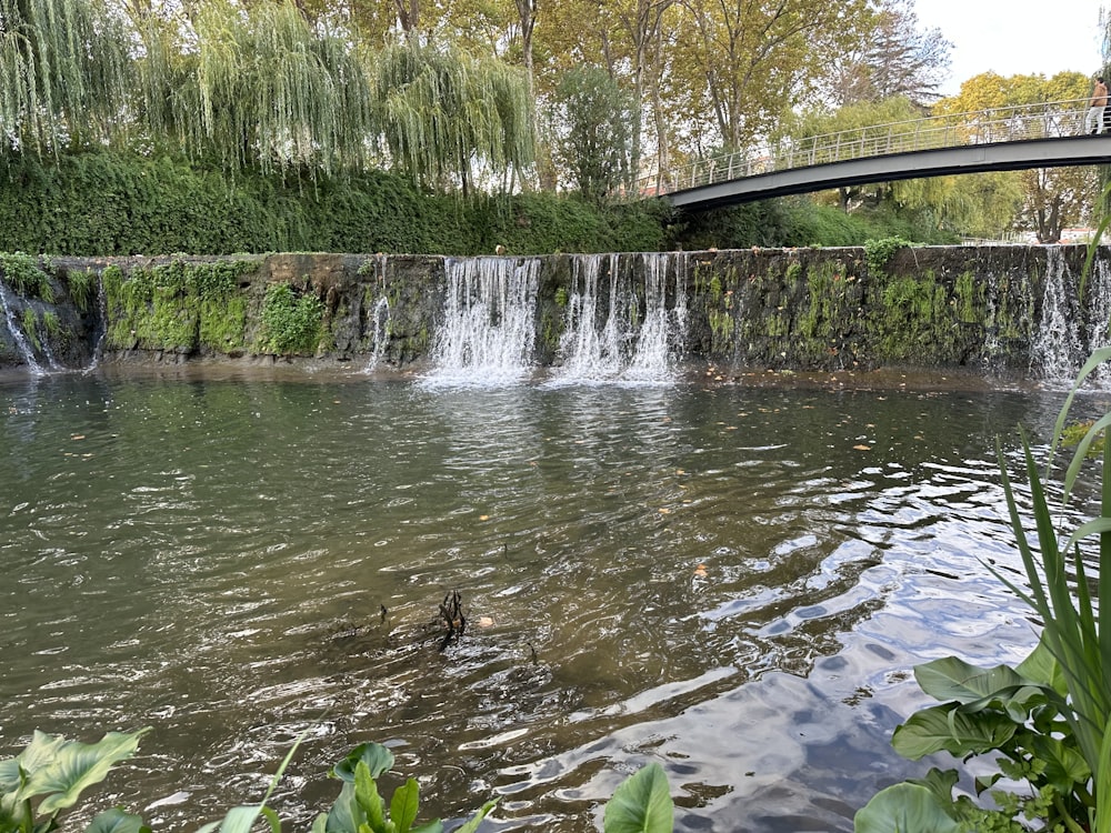 a body of water with a bridge over it