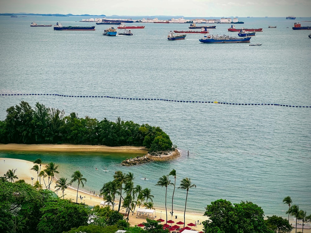 a group of boats in the water