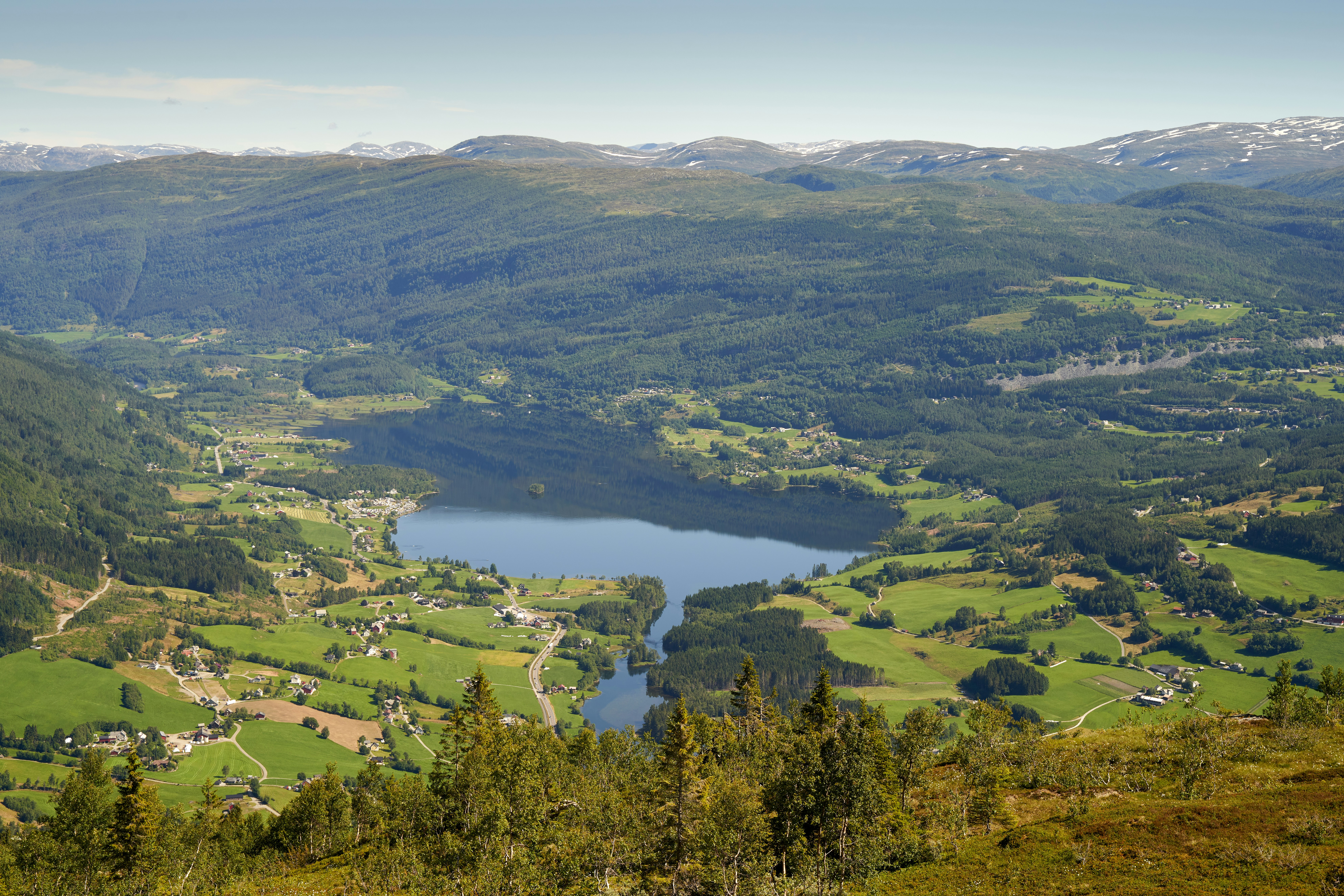 Photo by davotibarna