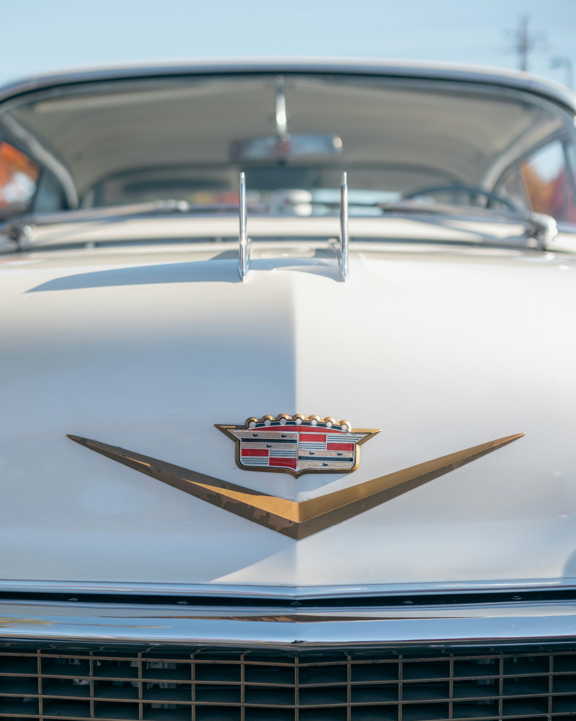 Photo by osvaldomorales08