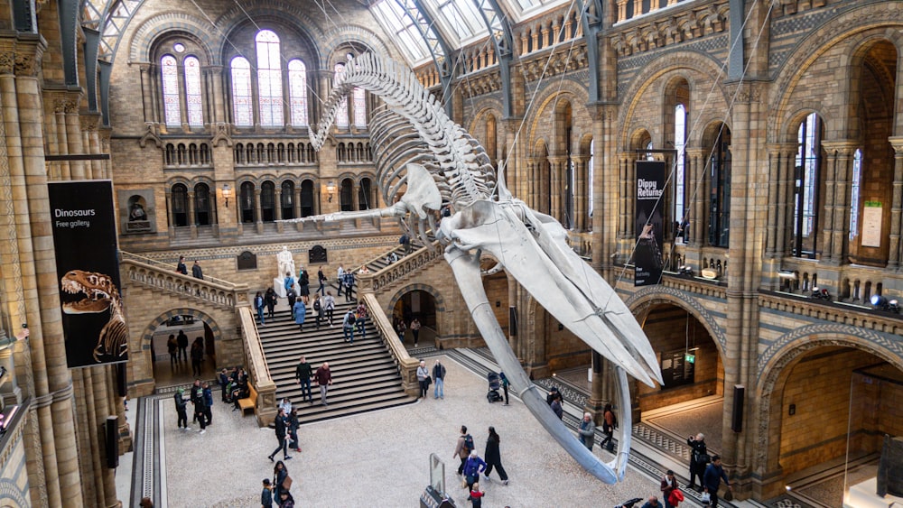 a large building with a large statue in the middle with Natural History Museum in the background