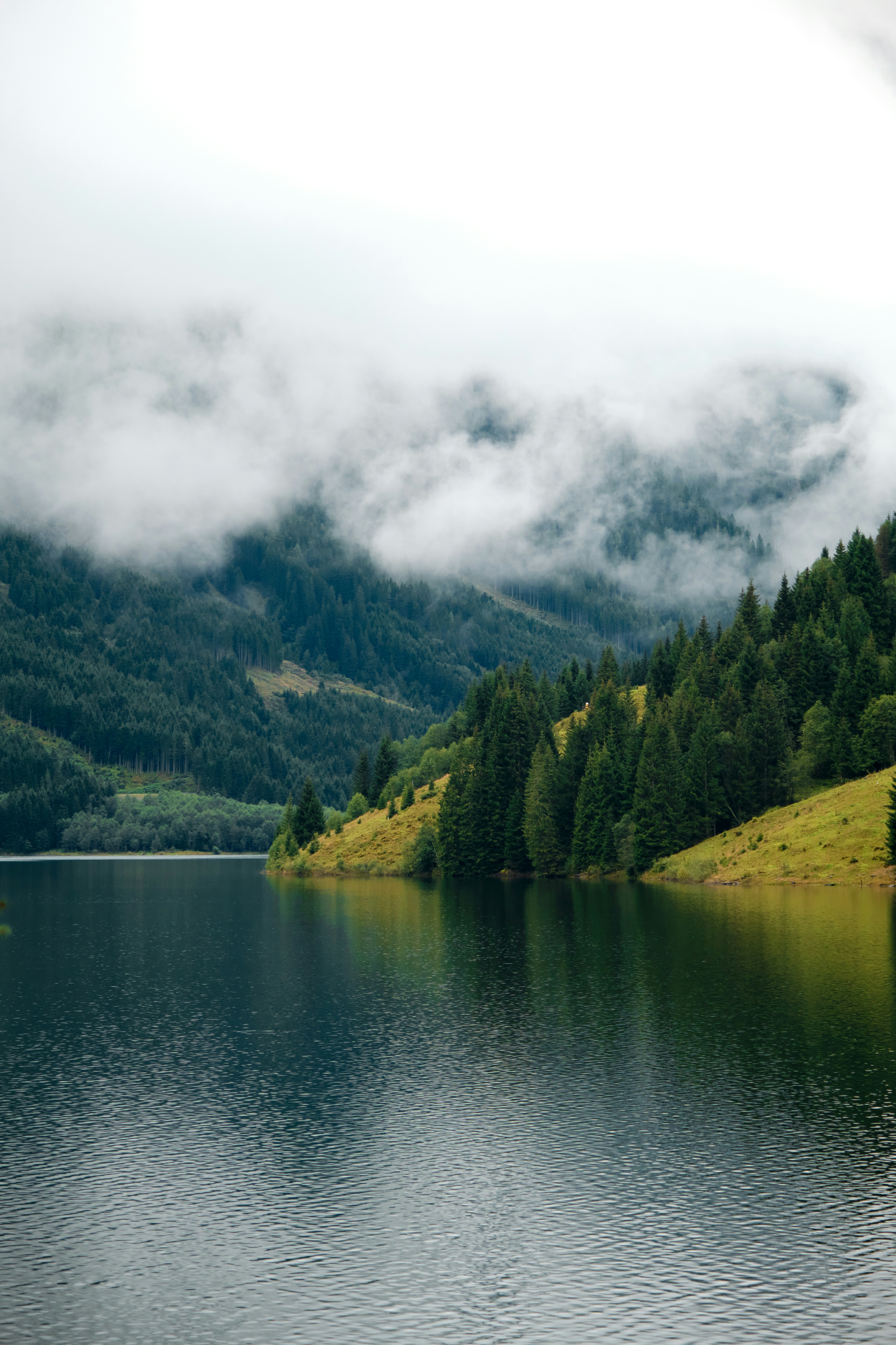 Photo by adamhornyak