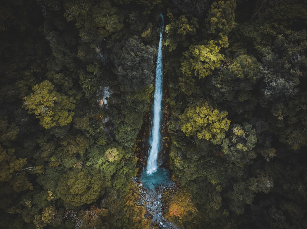 a stream of water surrounded by moss