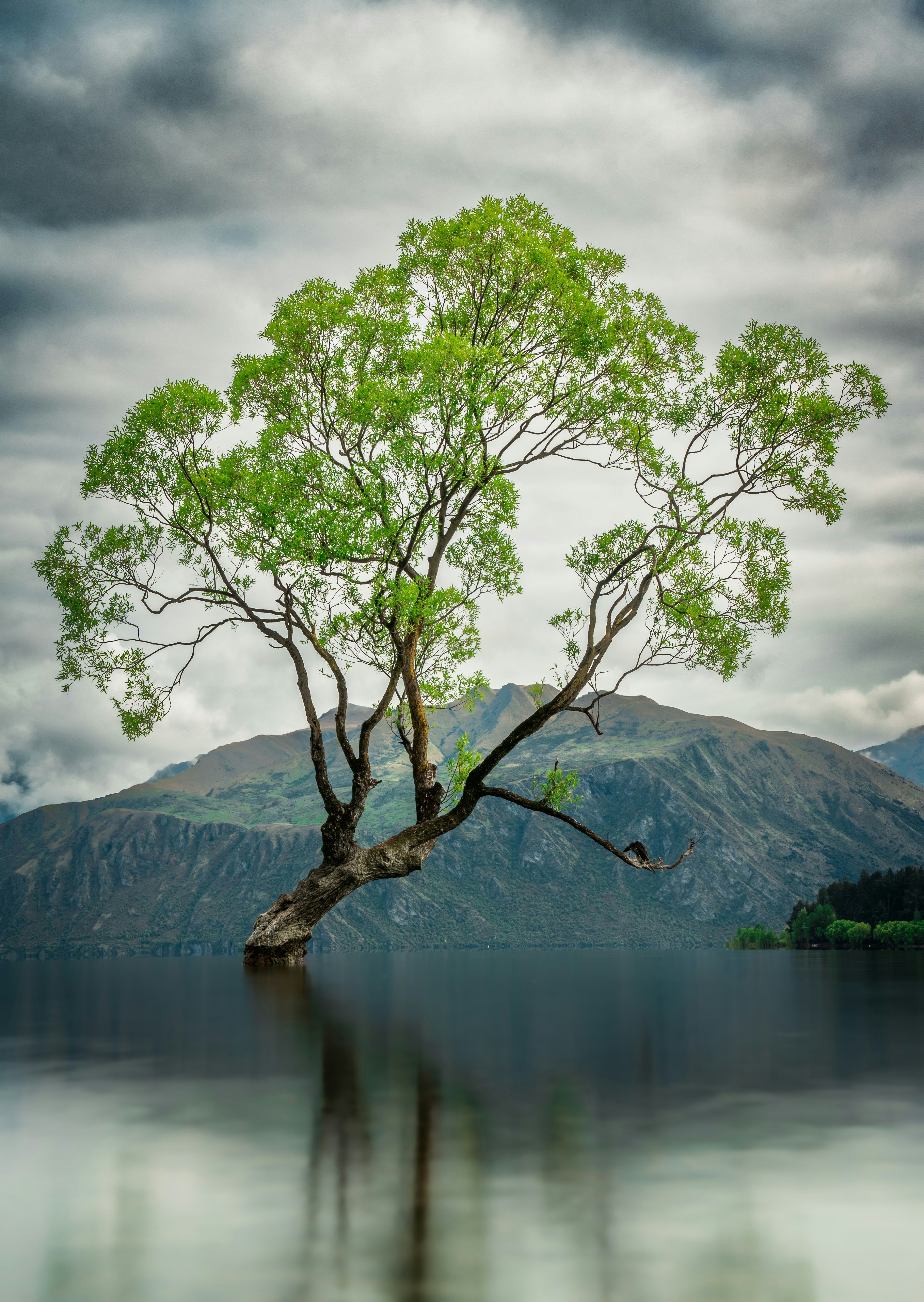 The Tripartness Meta-Diagram and Diagram Blending