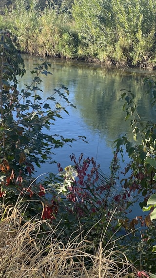 A serene view of the Hennops River flowing gently through the guest house grounds, framed by traditional Zulu decorations.
