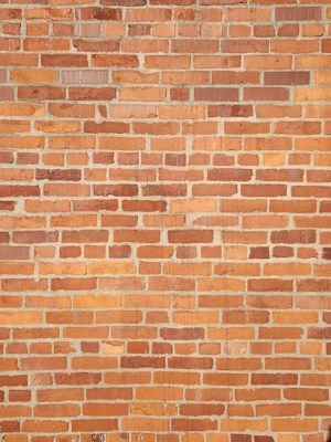 Photo 1669161666414 E7cbbe666ad4?q=85&w=750&h=400&fit=crop