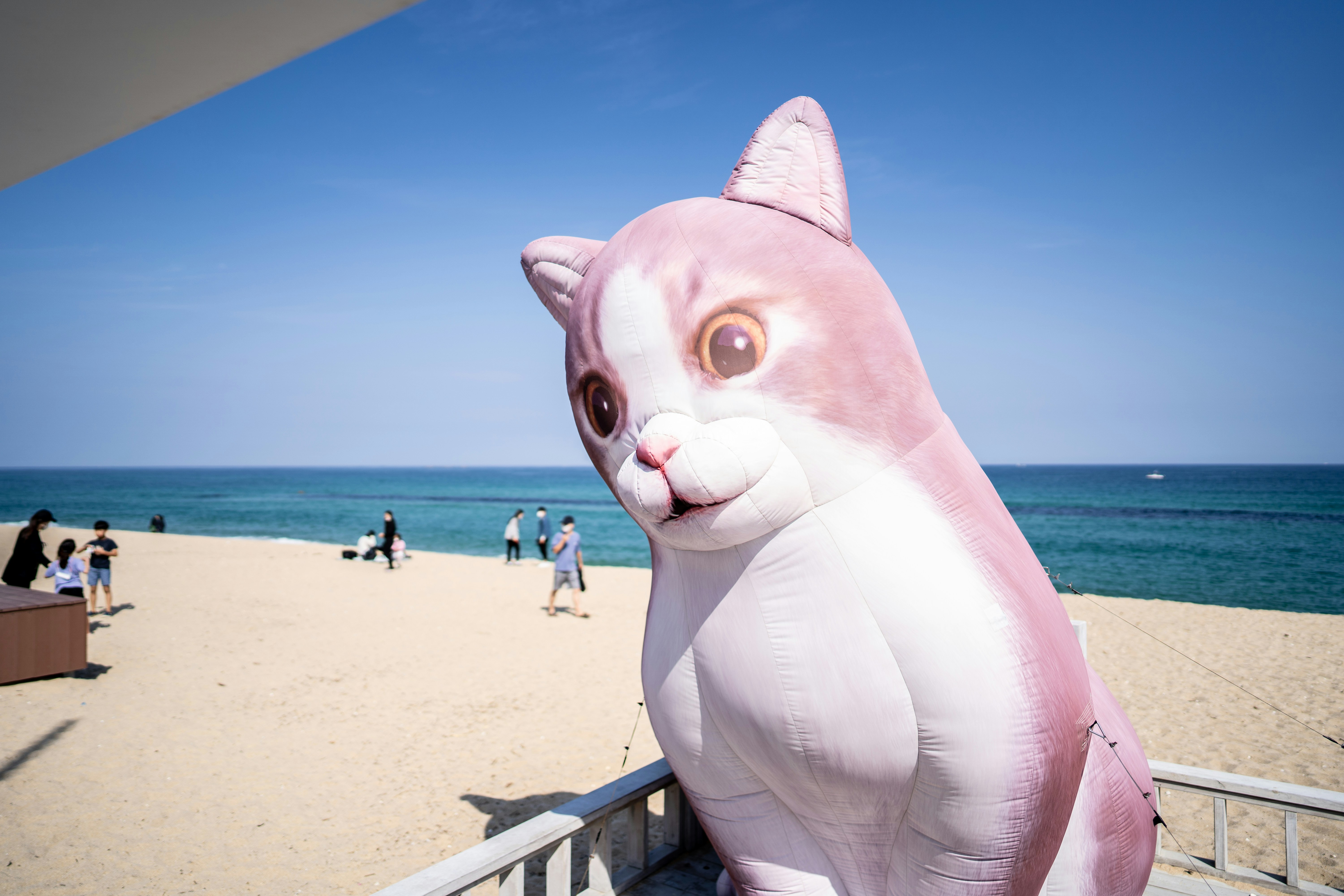 Eine Person in einem rosa Katzengewand am Strand