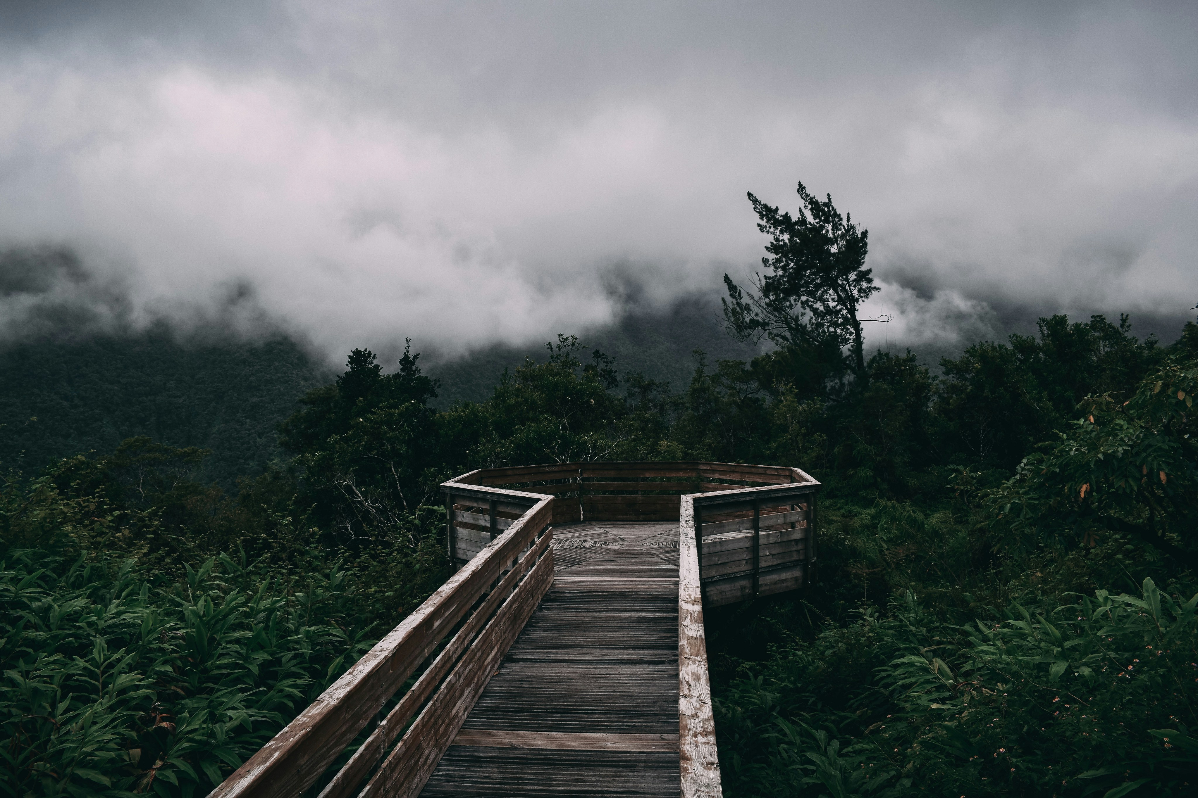 Photo by mathilde91700