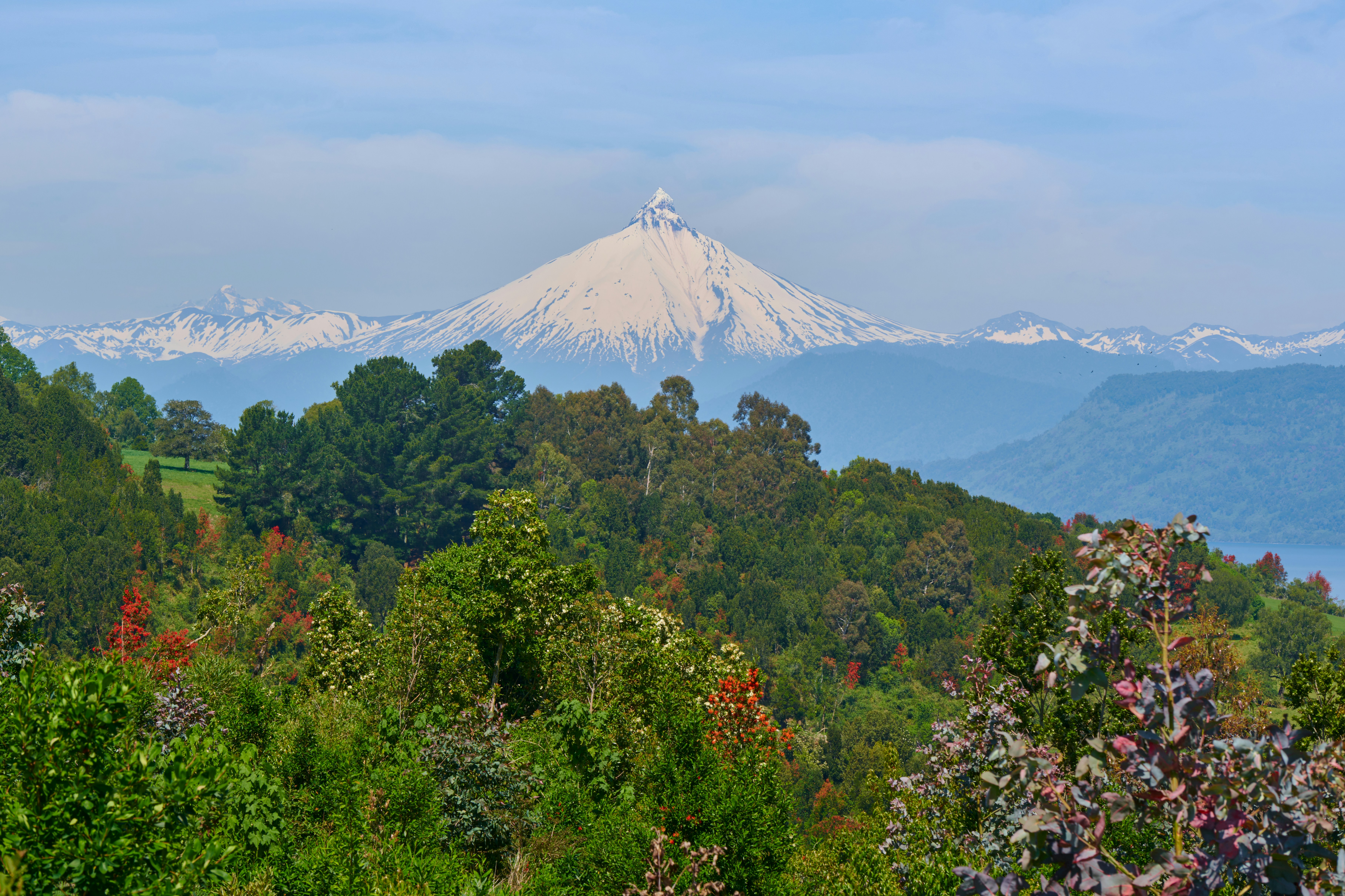 Notas semanales 17 de enero 2026