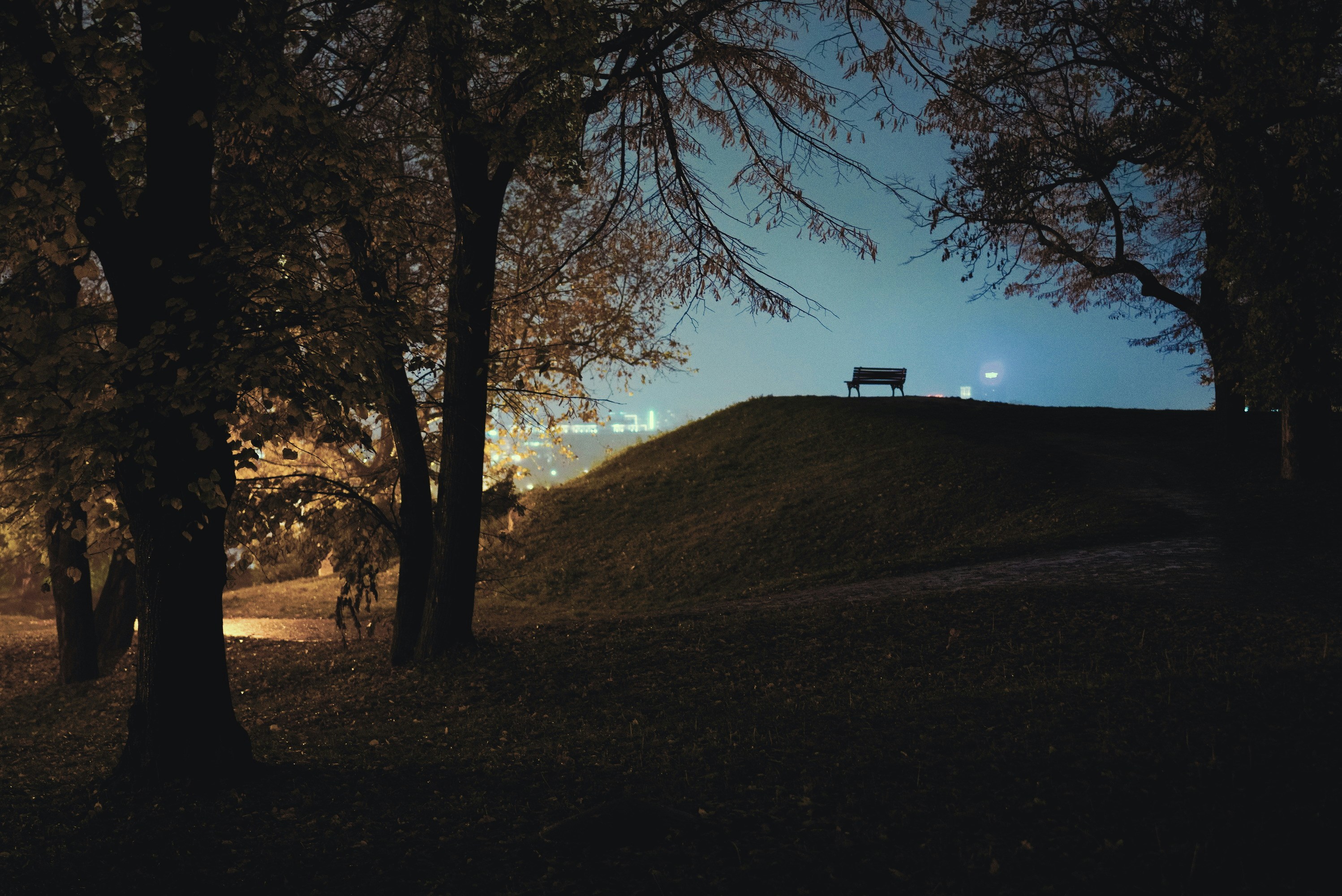 Linden Square