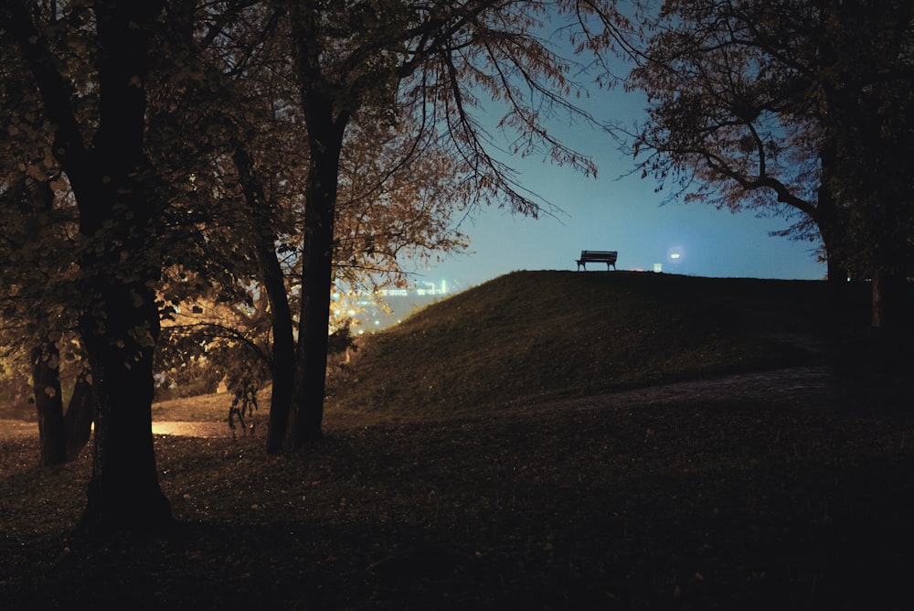 Una panchina su una collina