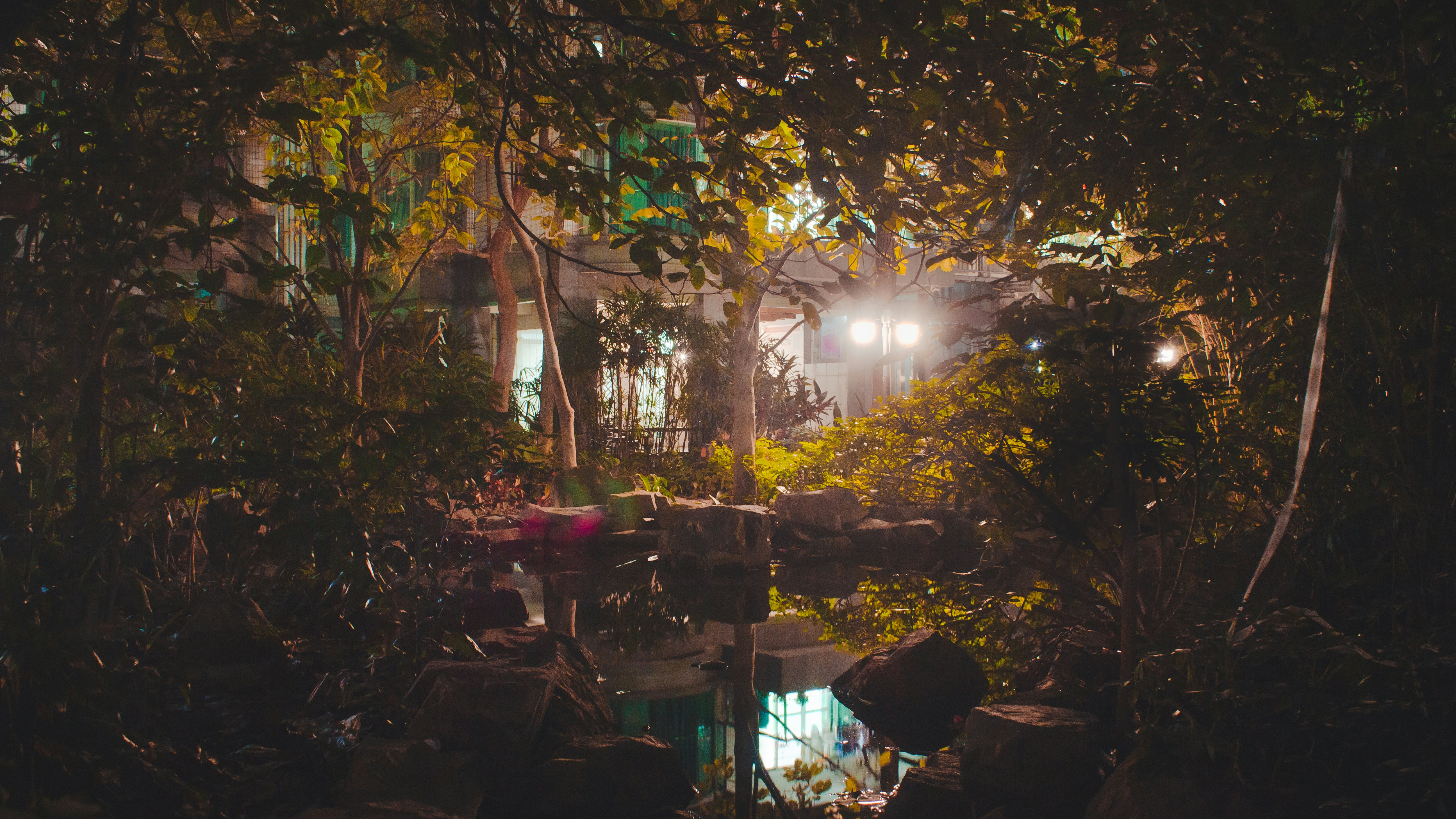 Photo by polaron
