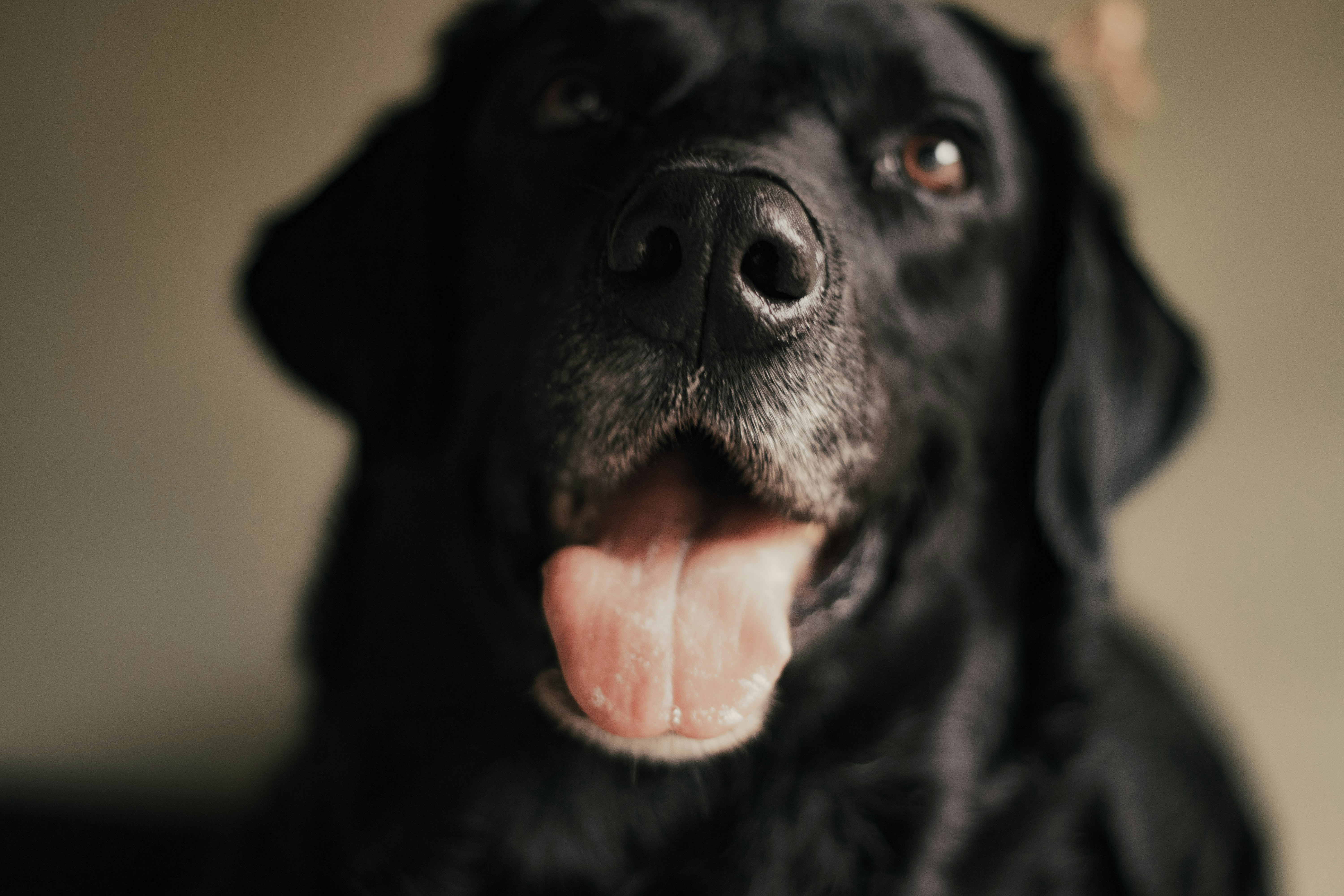 Photo by dayronrochasantos