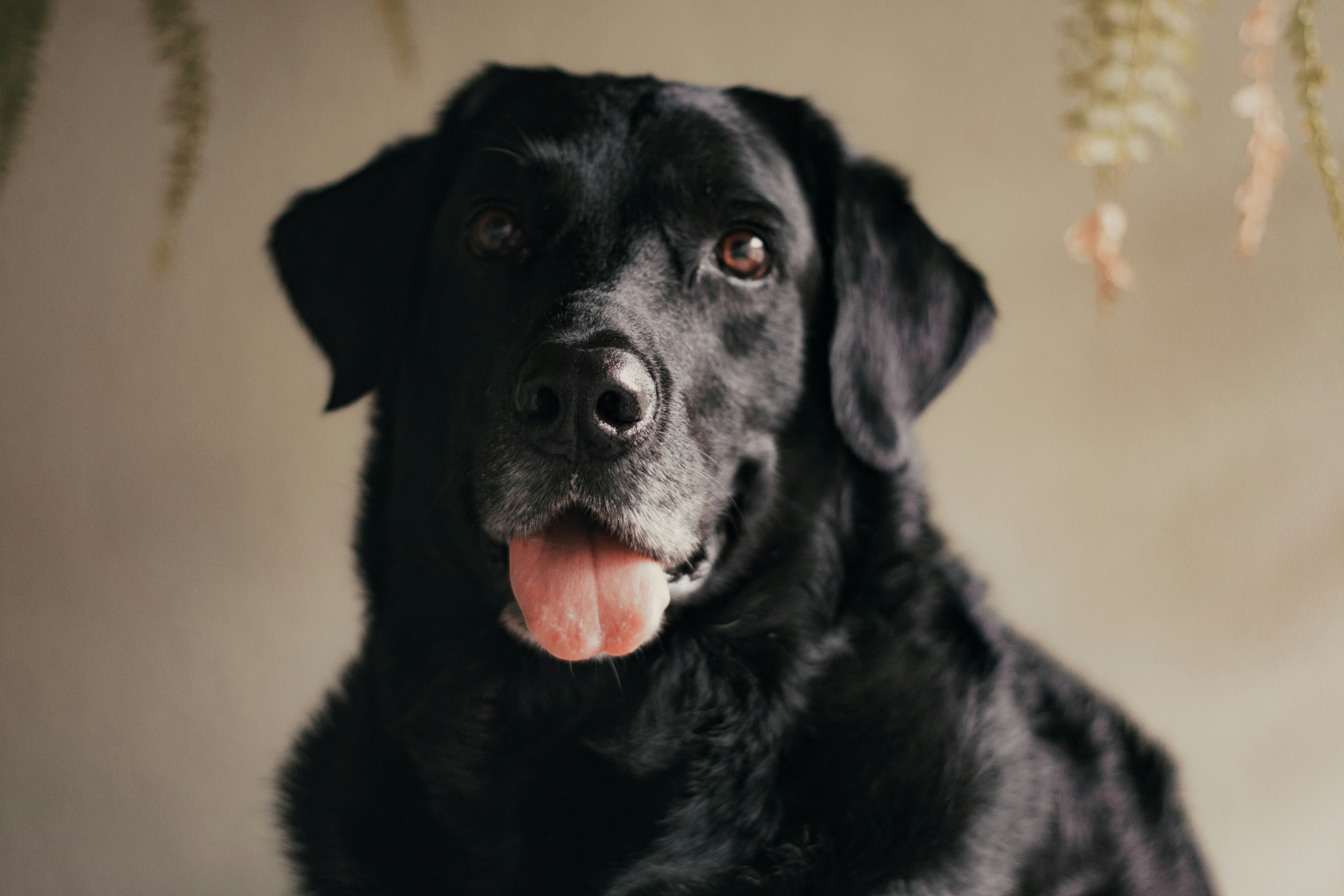 Photo by dayronrochasantos