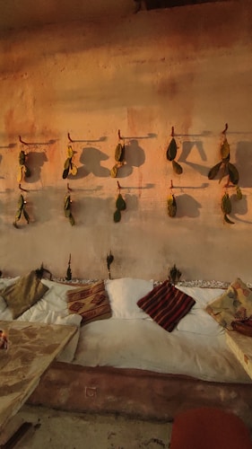 The image captures a cozy, rustic setting with a wall displaying hanging green leaves and casting shadows. Below, a white cushioned seating area is adorned with various patterned throw pillows. The lighting is warm, creating a serene and inviting atmosphere.