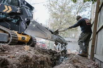 a man using a machine to lift a tree